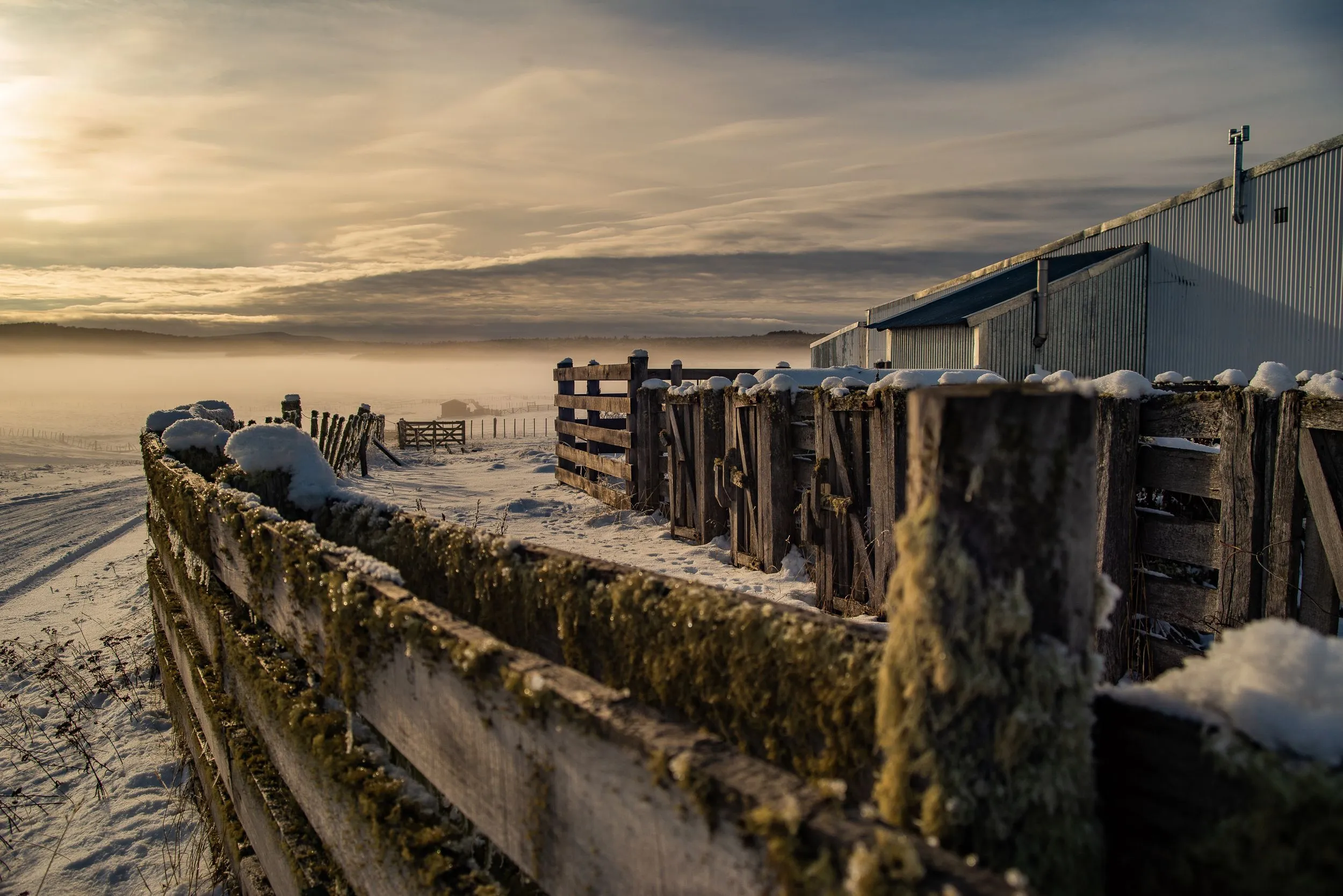 Snow and wooden fences in Tolhuin's rural surroundings.