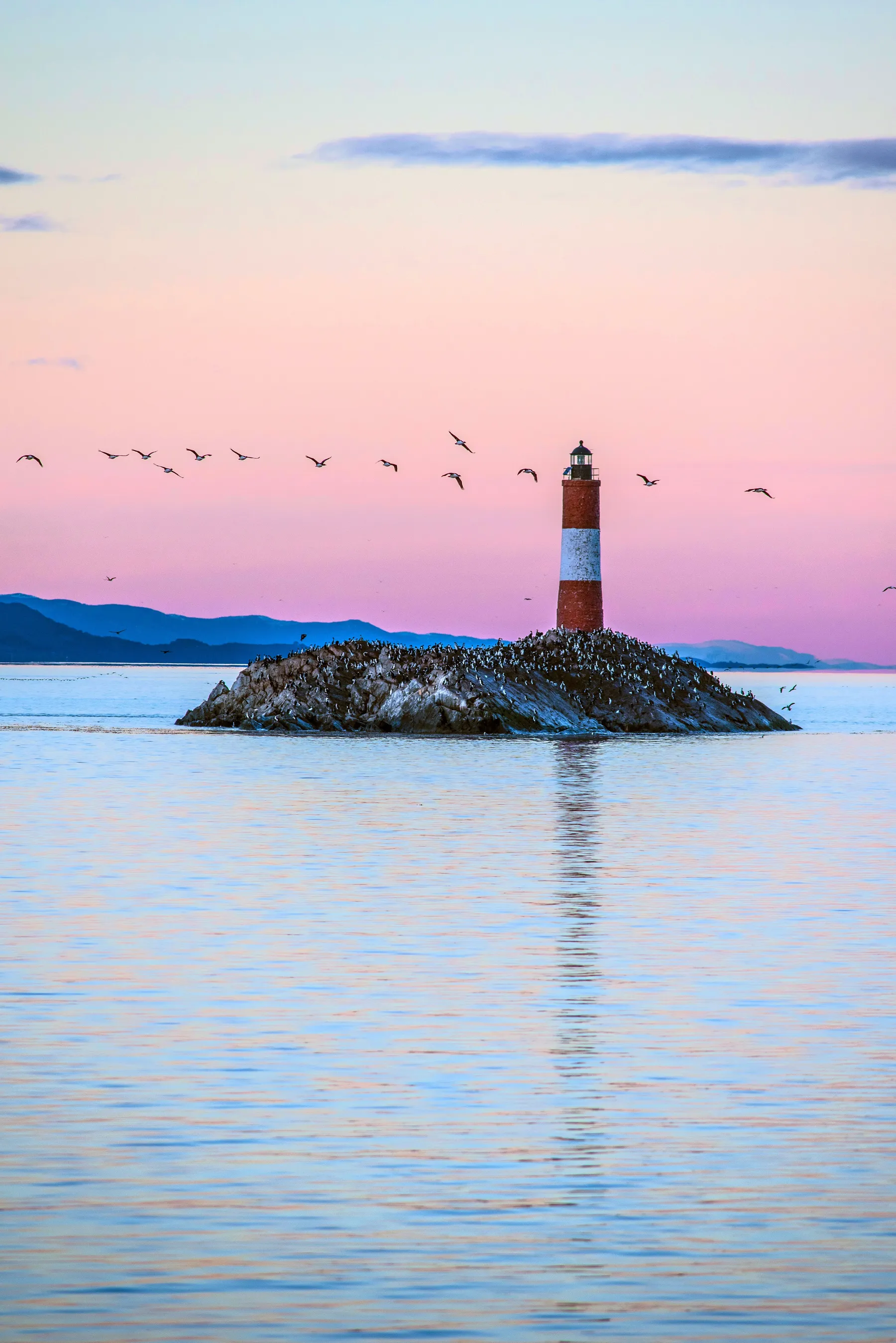 Birds above the Les Éclaireurs lighthouse near Ushuaia.