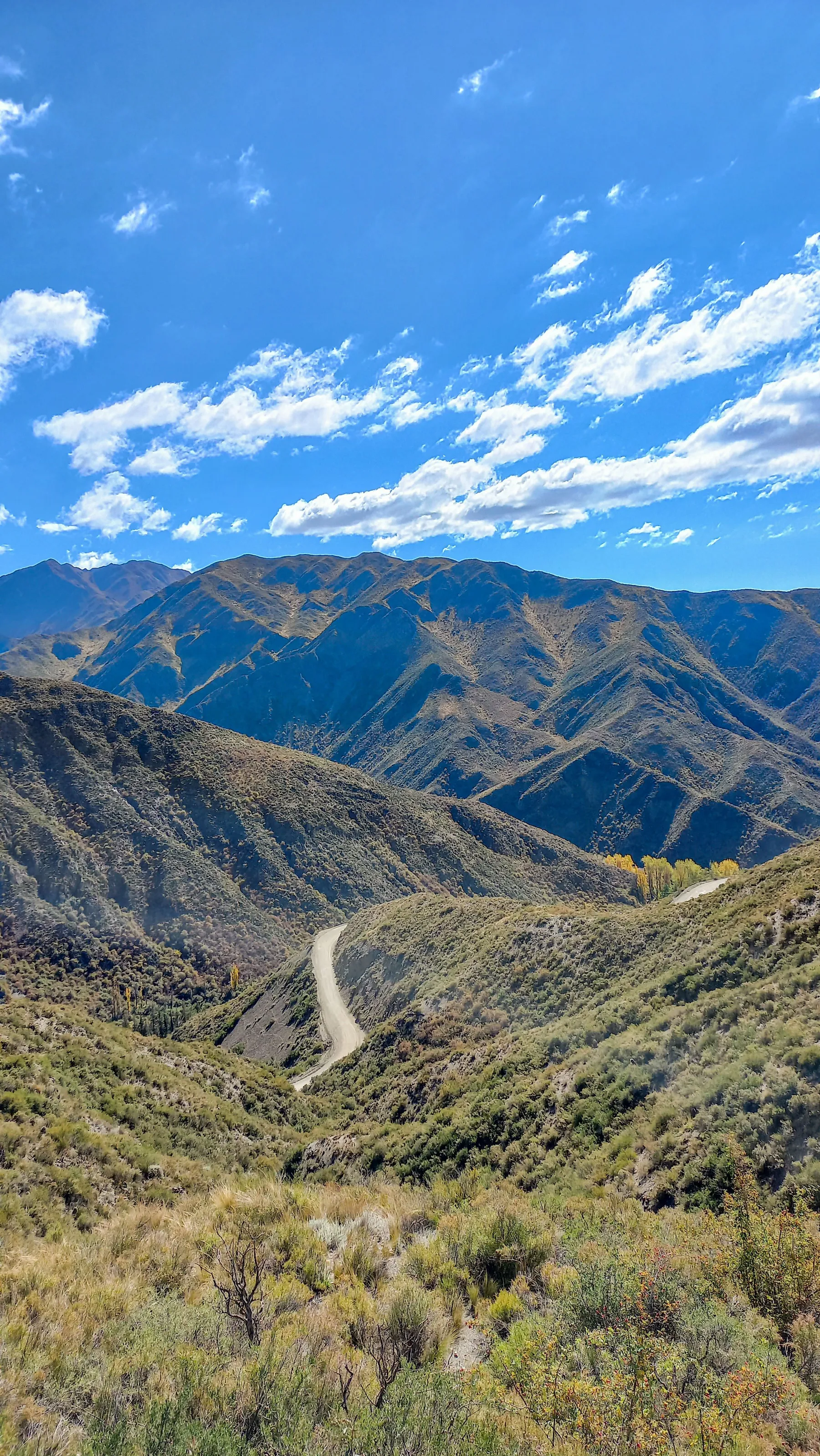 A road through the open mountain landscape in Mendoza.