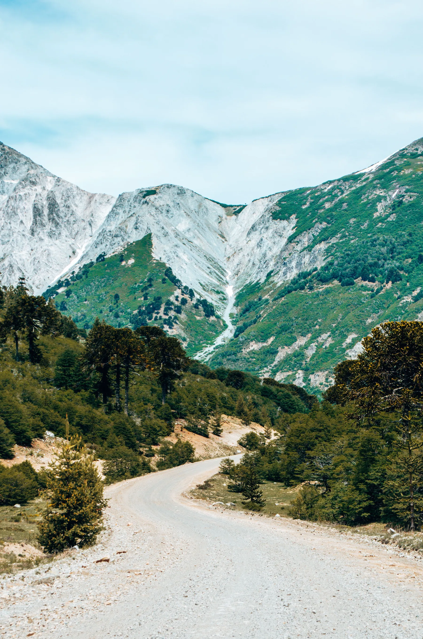 A road winding through green mountain country near Villa Pehuenia.