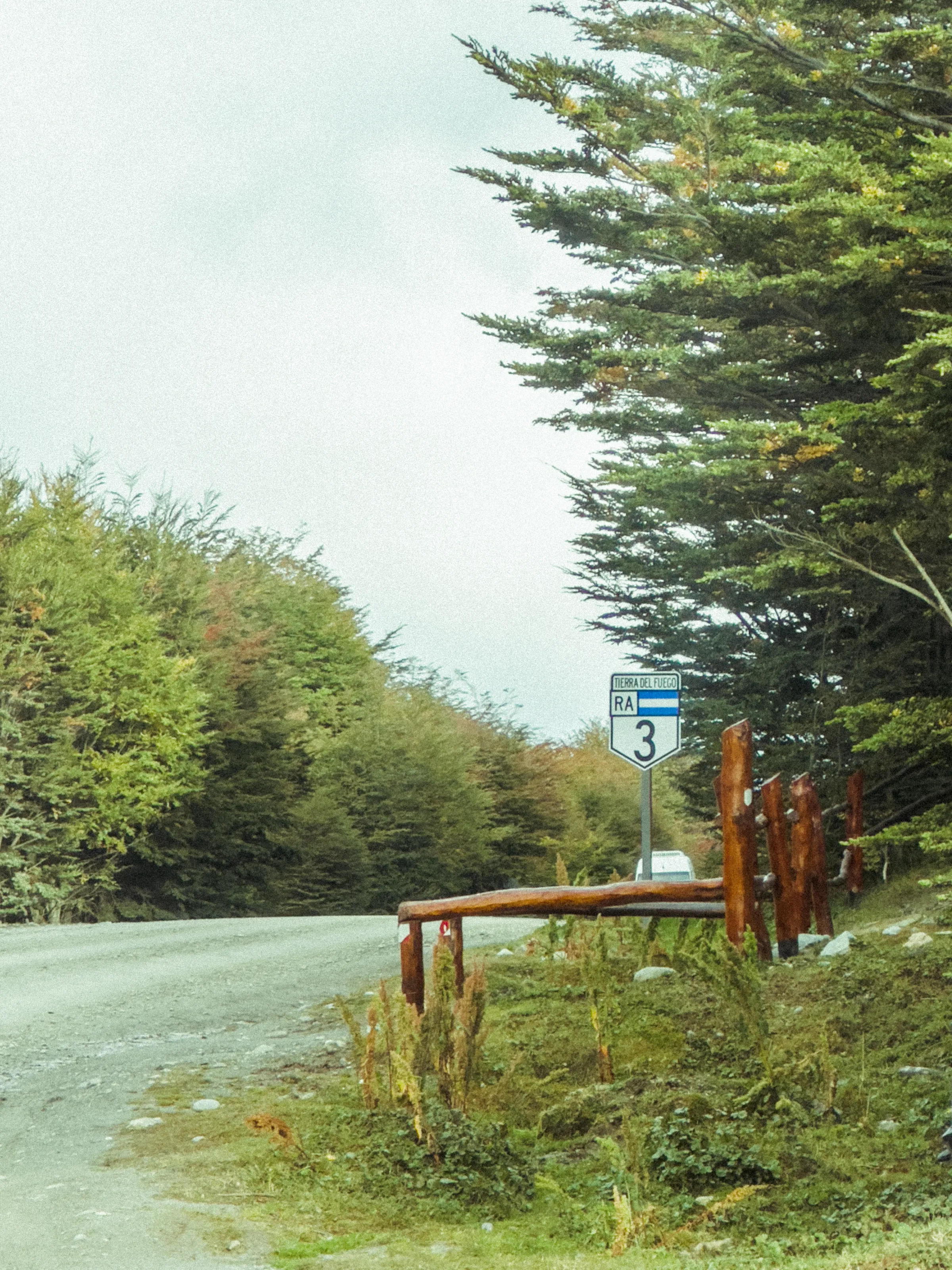 A winding road through forest in Tierra del Fuego.