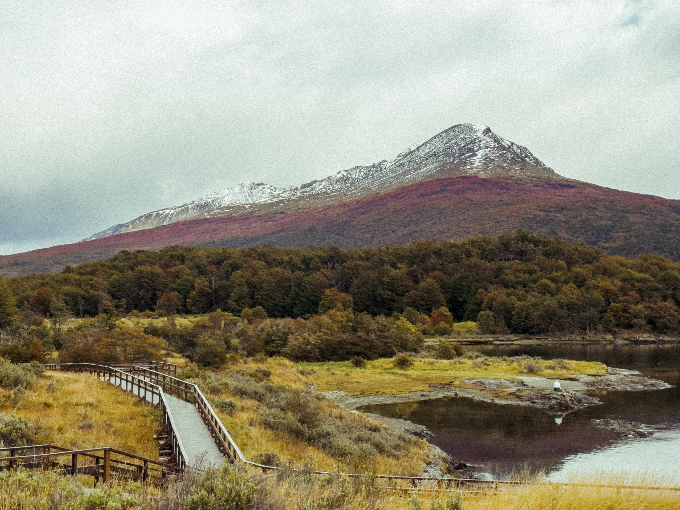 A wooden path, forest and mountains in Tierra del Fuego.