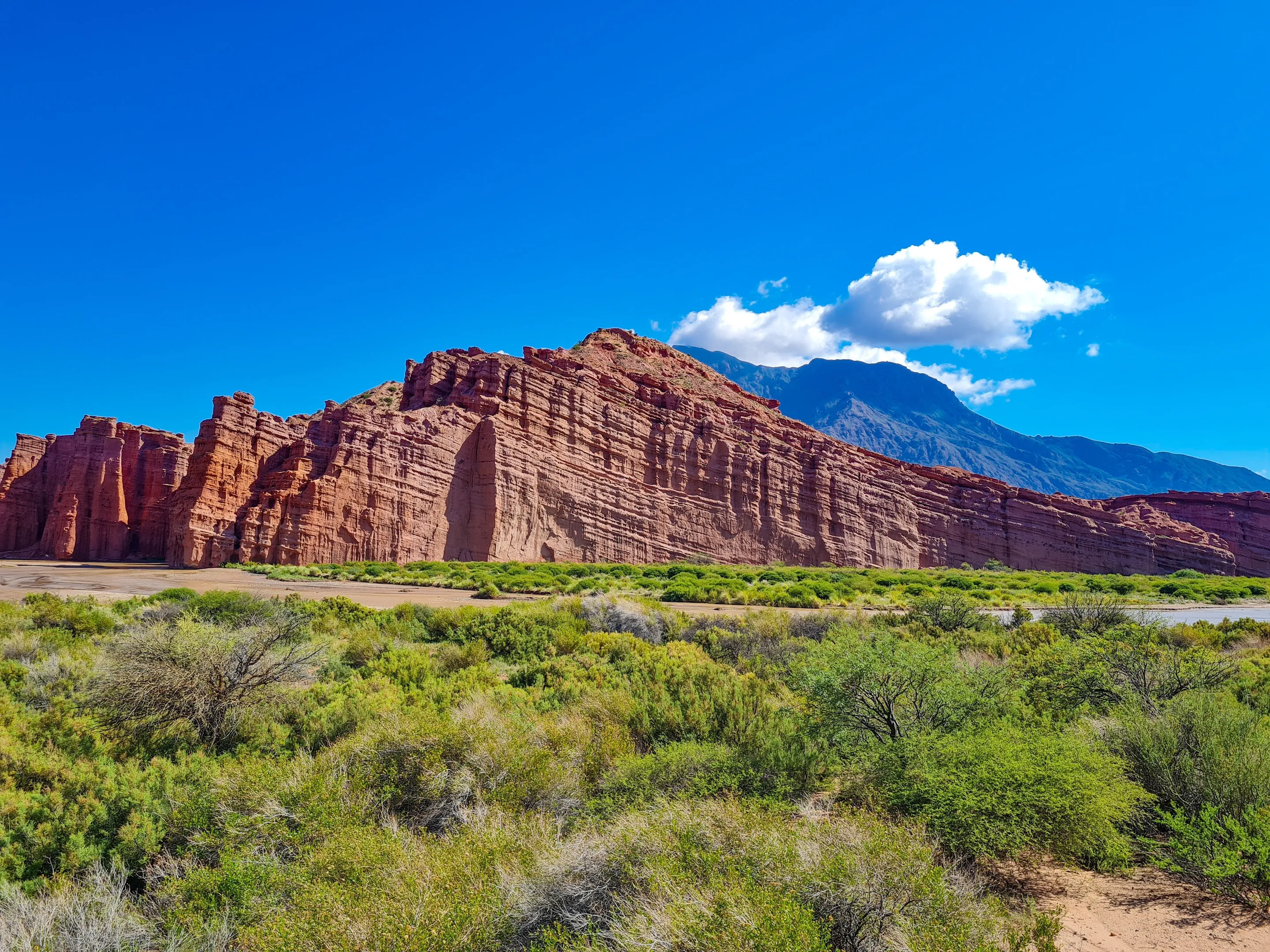 Red sandstone formations and green vegetation in the Quebrada de Cafayate.
