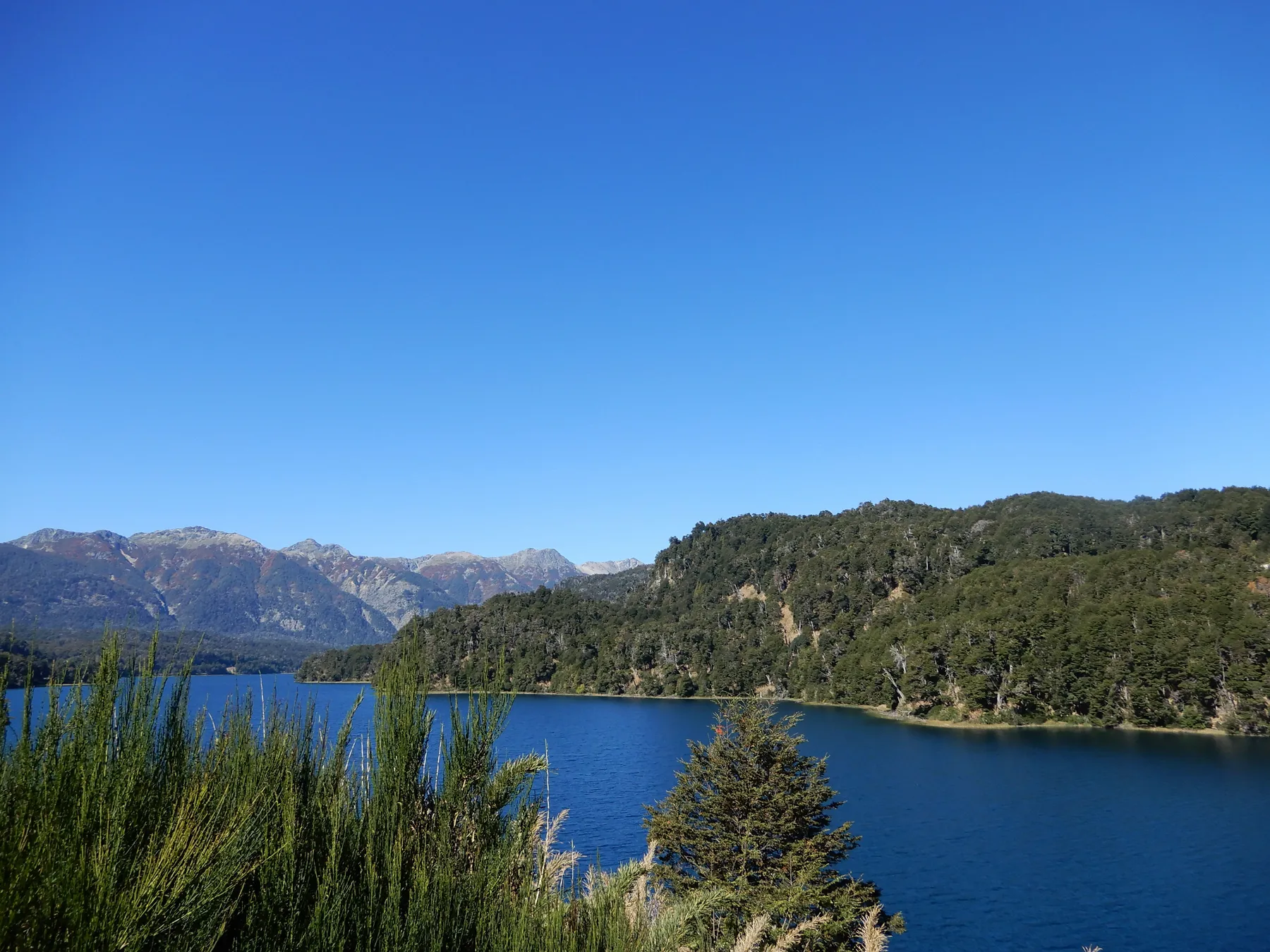Blue Nahuel Huapi water and wooded promontories