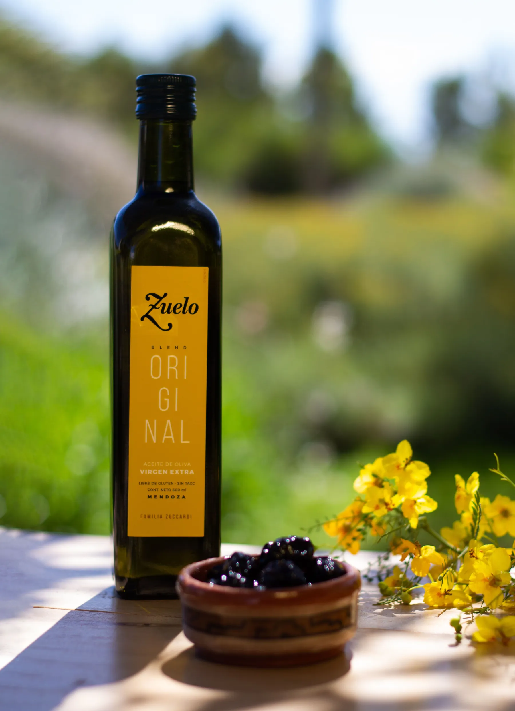 Olive oil and a bowl of olives catching warm sunlight in Maipú
