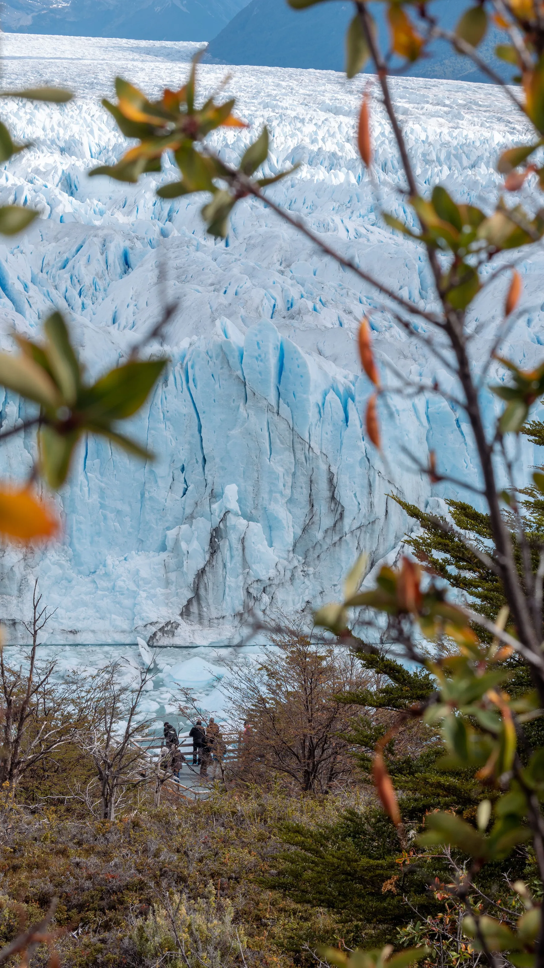 Visitors looking towards Perito Moreno Glacier in southern Patagonia.