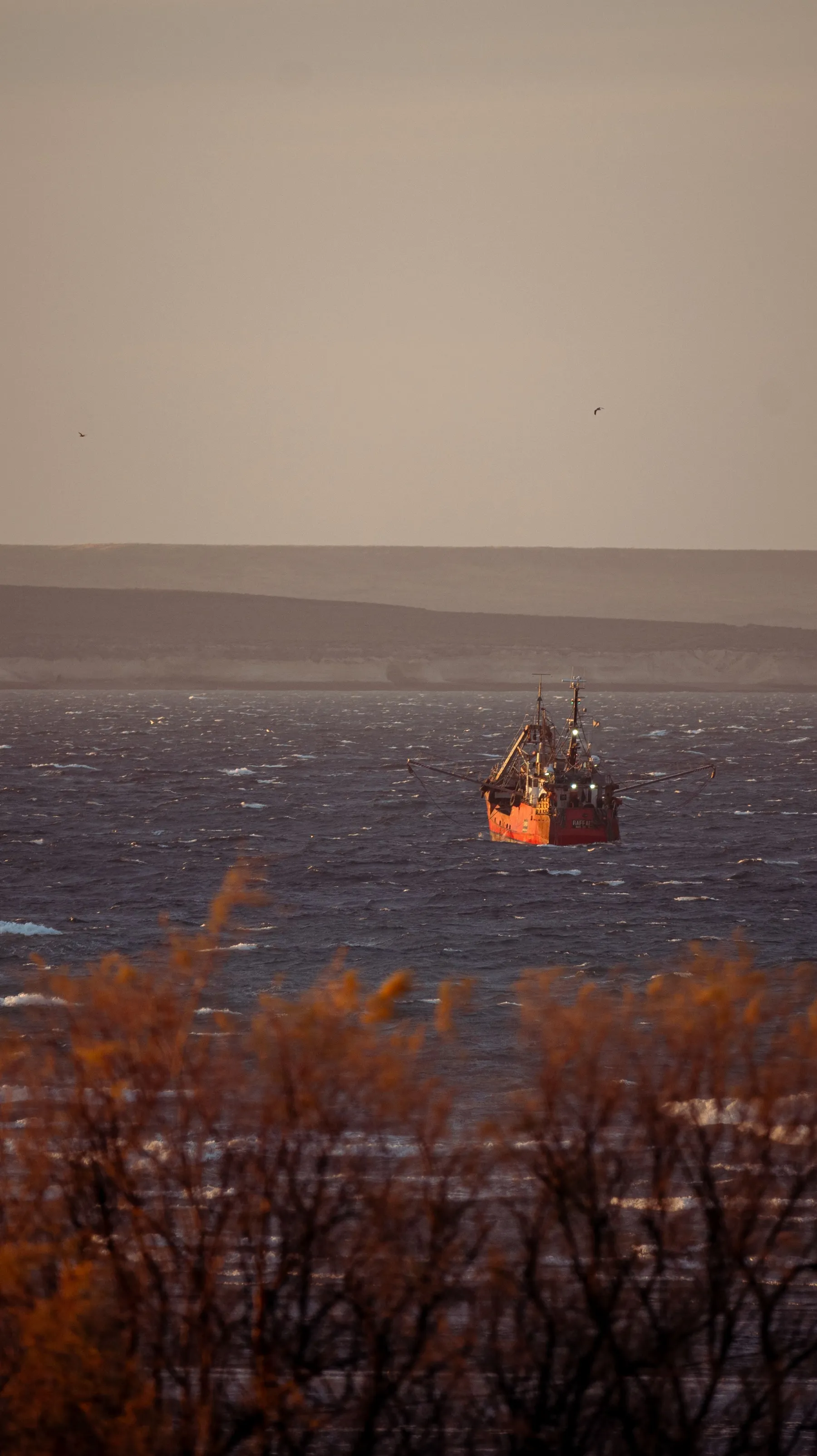 A fishing boat offshore near Puerto Madryn at sunset