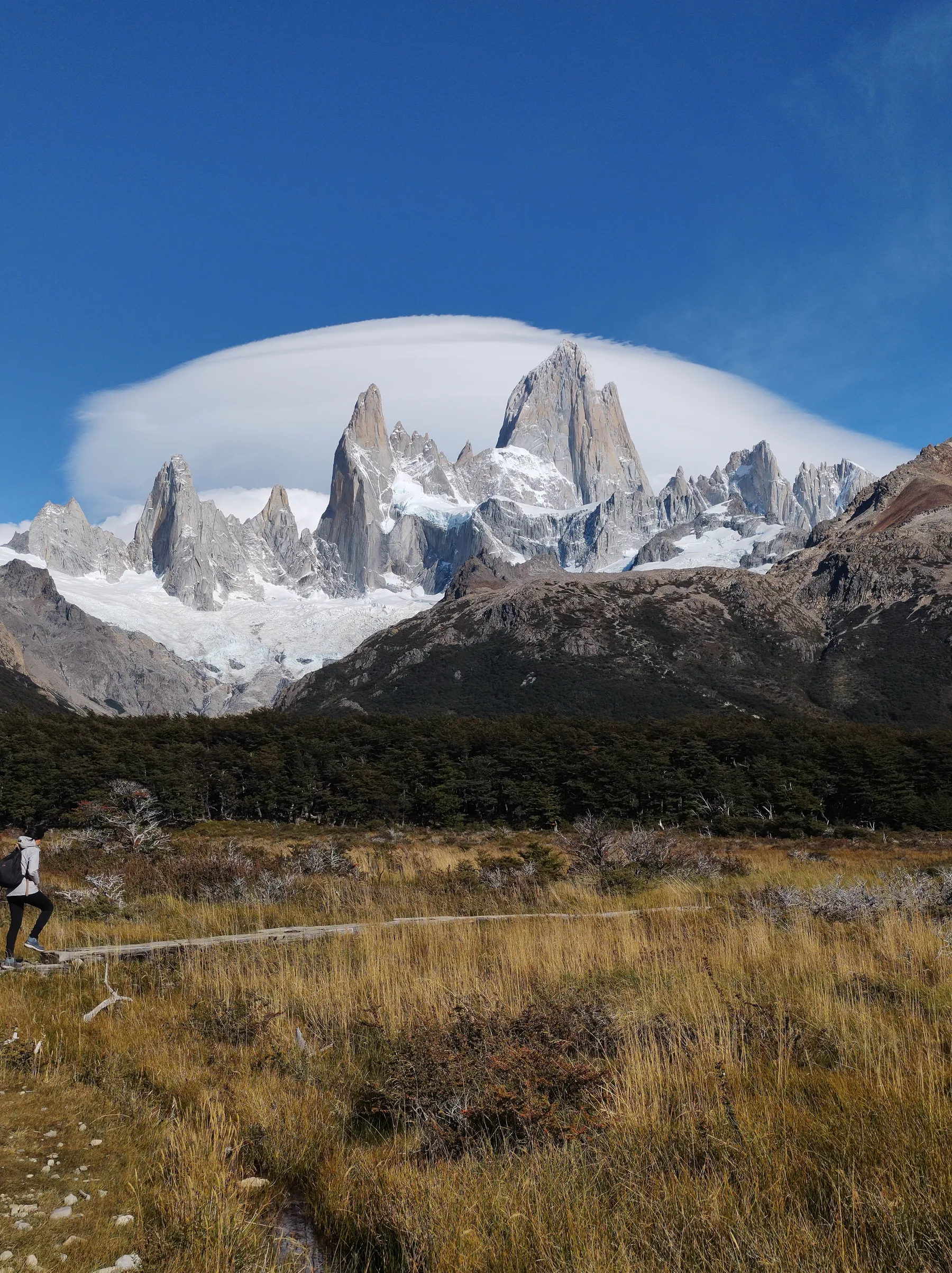 A walker in the landscape below Mount Fitz Roy.