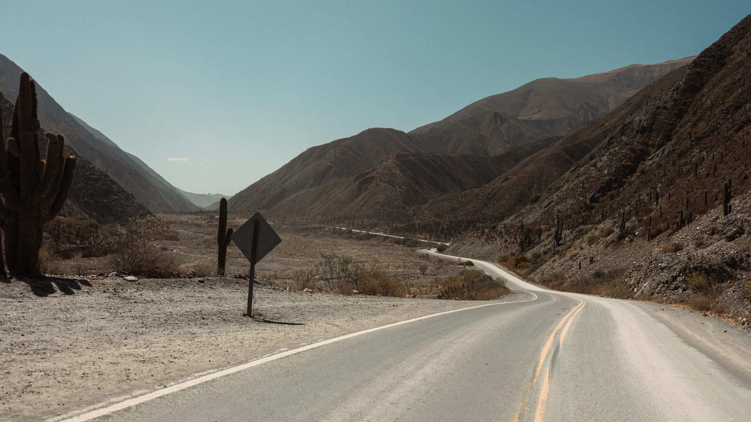 A road winding through cactus-covered mountain country in Salta.