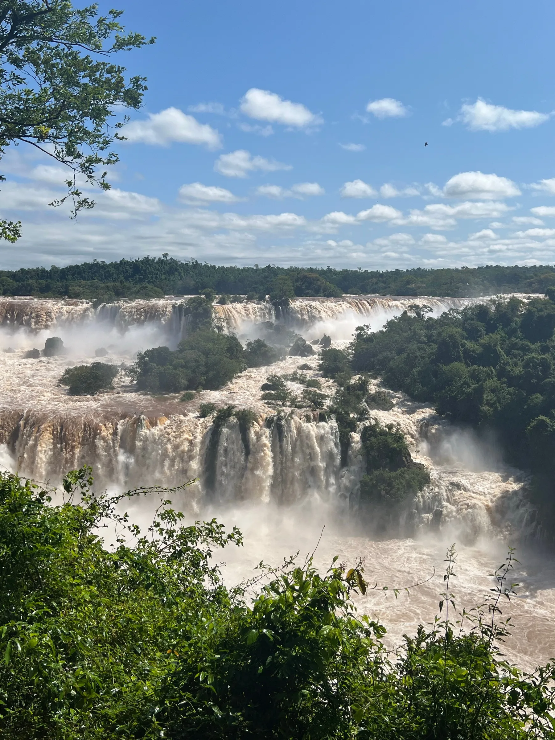 Iguazú Falls framed by dense forest.
