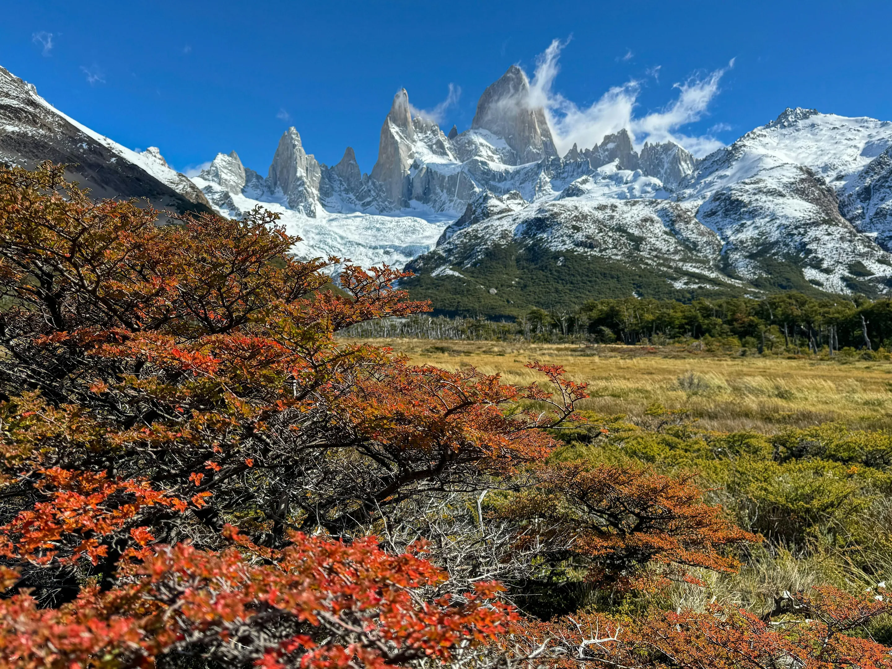 Autumn foliage beneath the snowy Fitz Roy skyline.