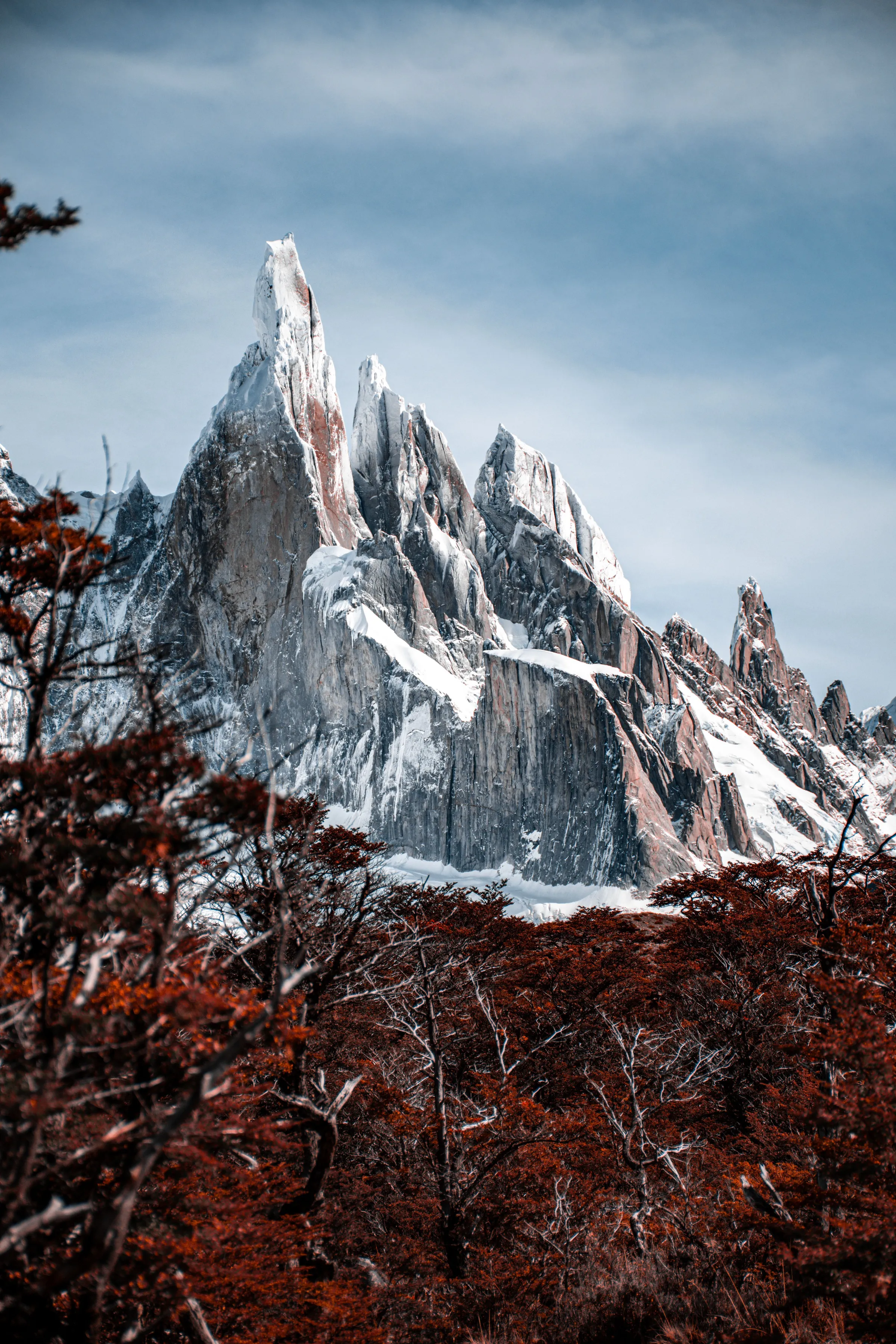 Cerro Torre peaks beyond a forested and rocky valley