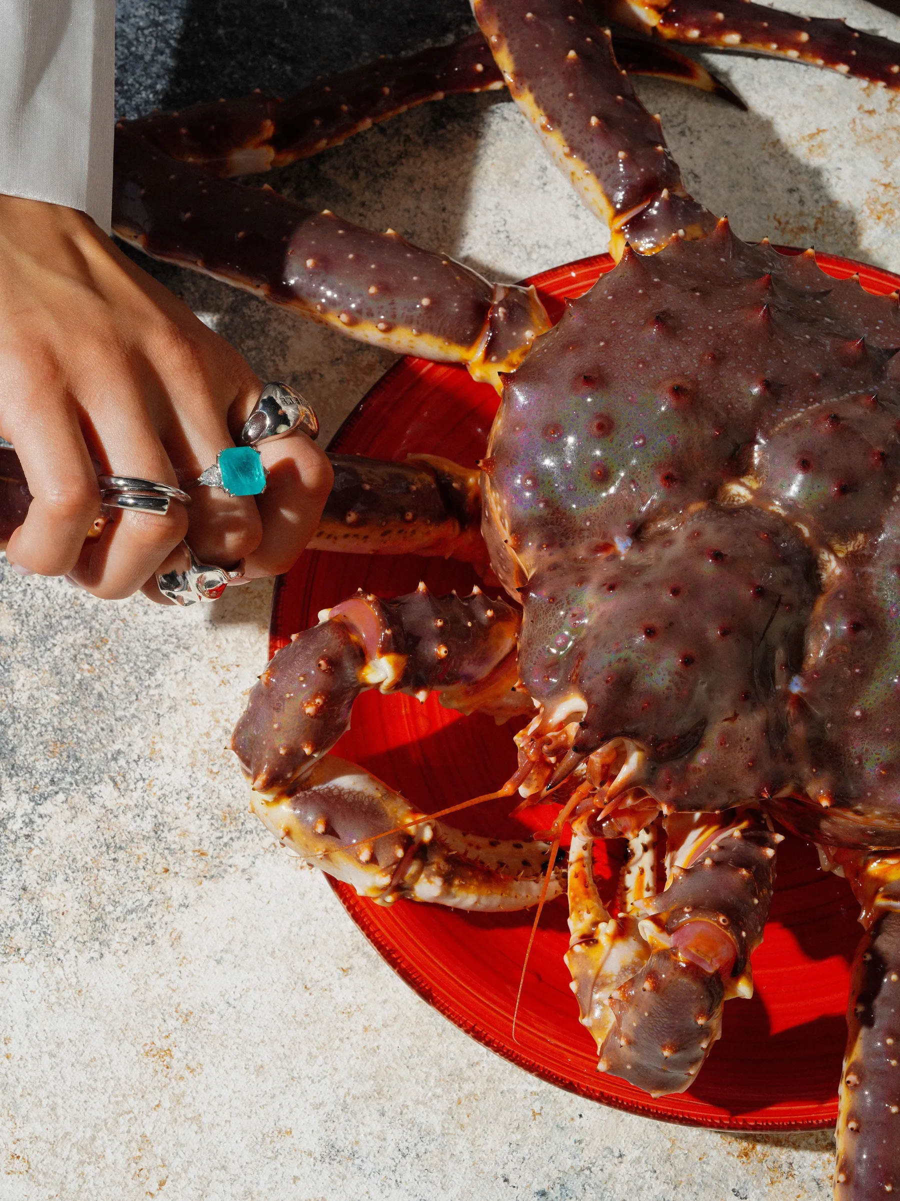 Cooked crab in close detail on a red plate