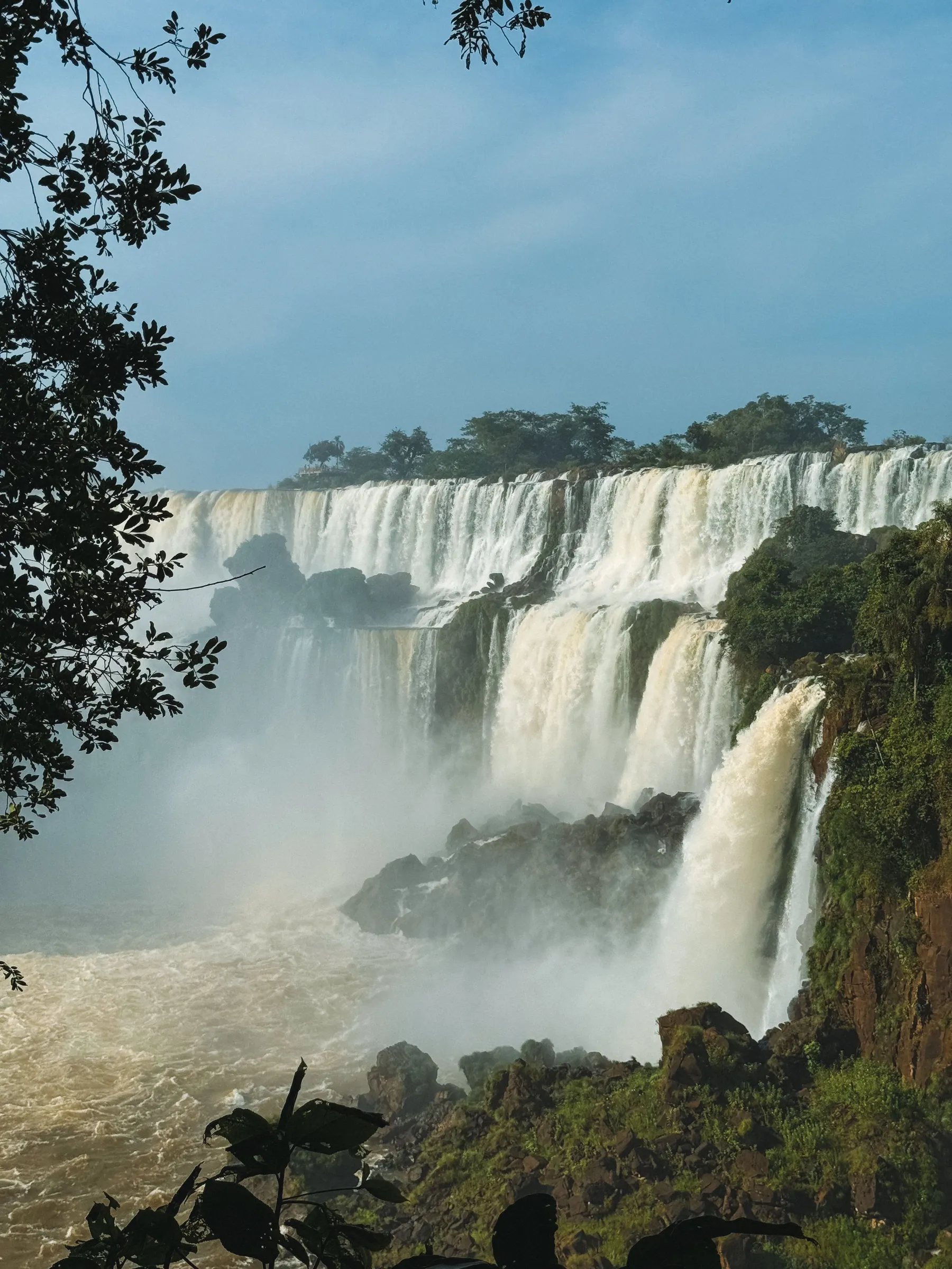 The falls and surrounding forest at Puerto Iguazú, Misiones.