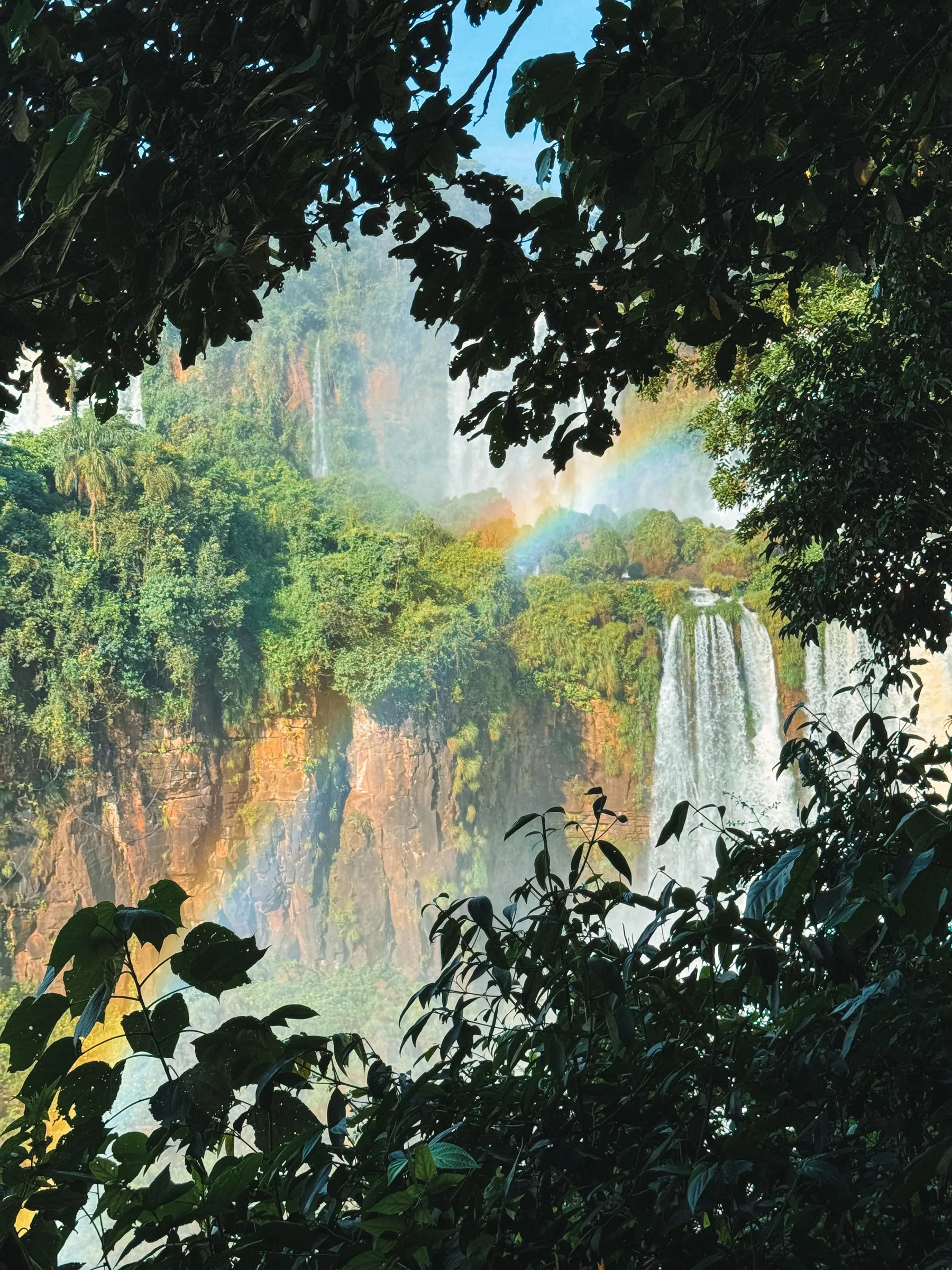 A rainbow over the falls and forest at Puerto Iguazú.