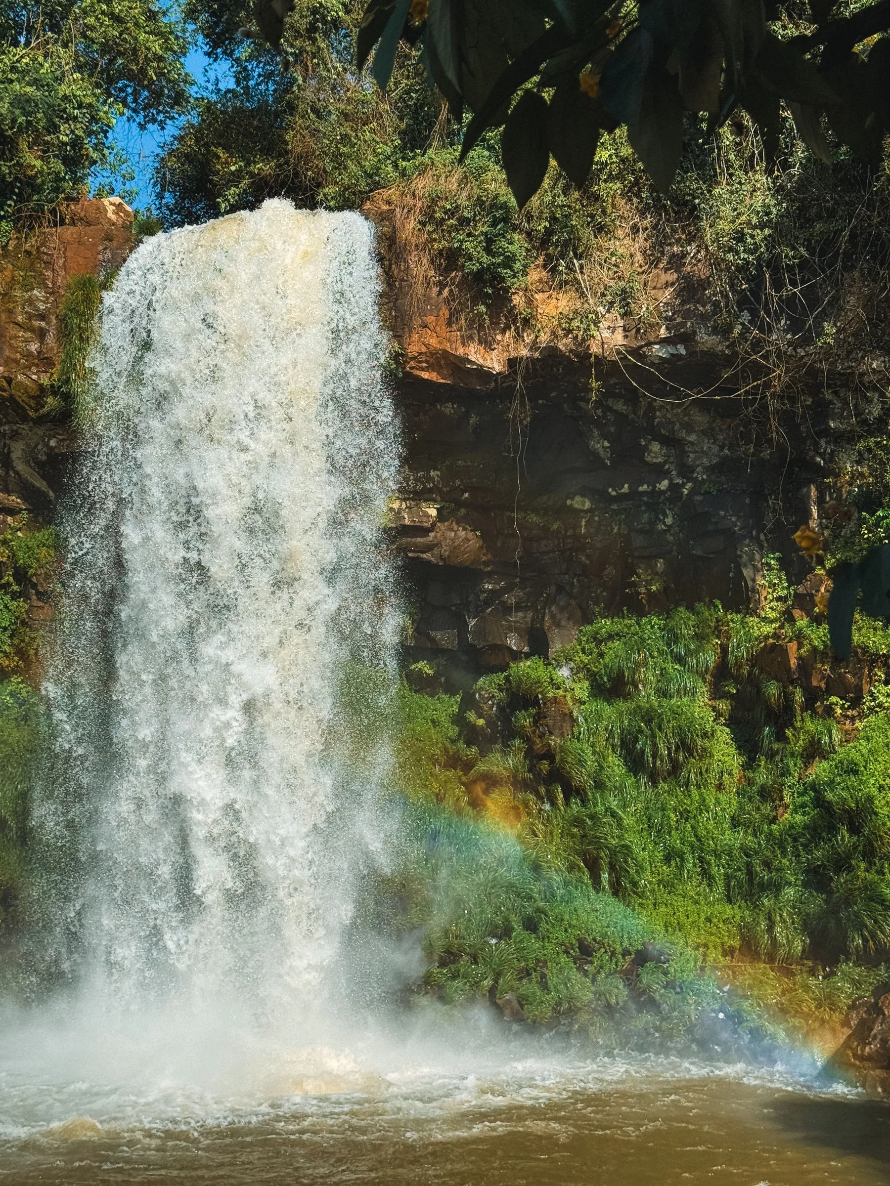 A rainbow beneath a waterfall surrounded by rainforest at Iguazú