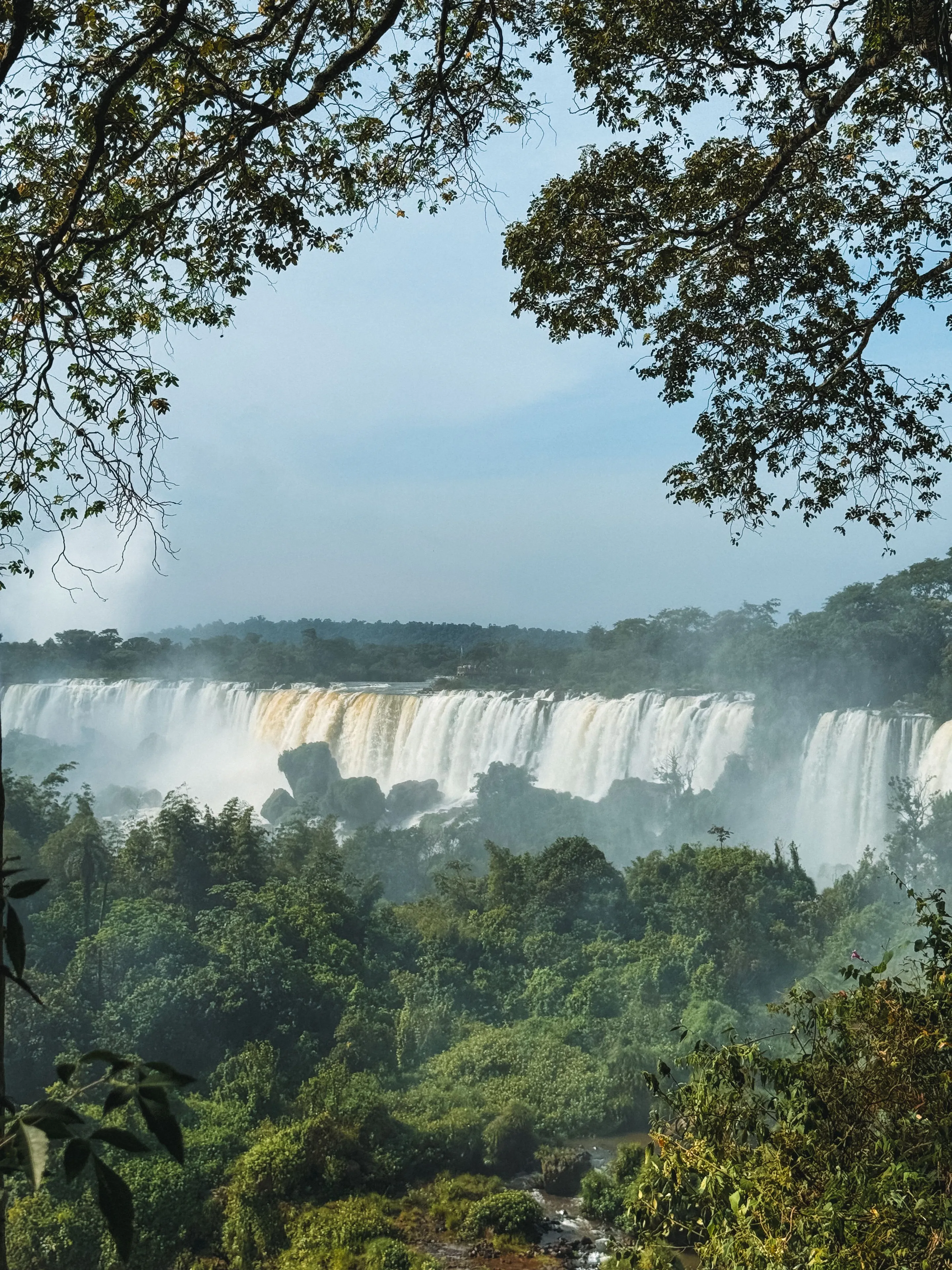 Waterfalls emerging from dense forest near Puerto Iguazú.