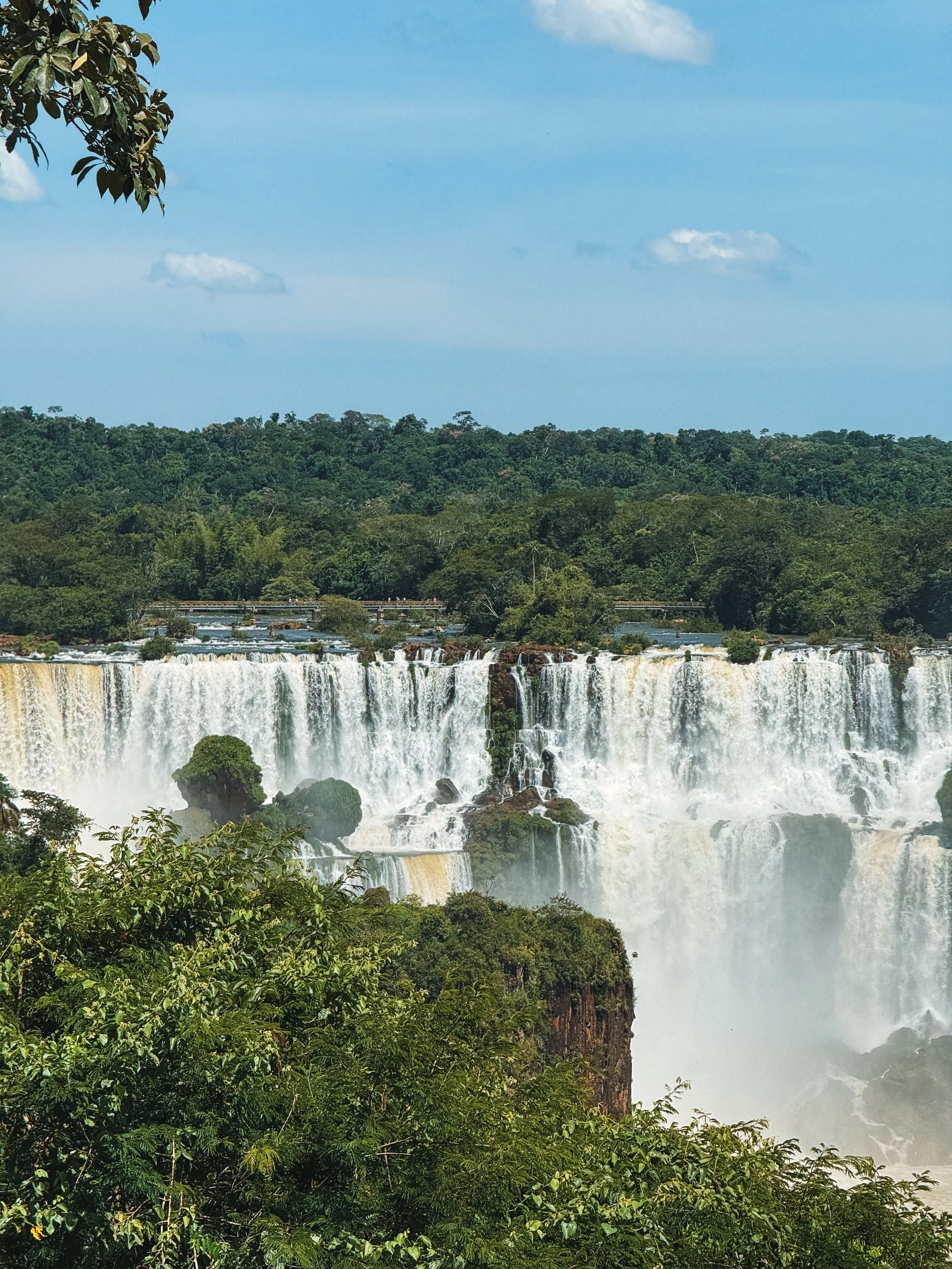 Iguazú Falls surrounded by subtropical forest.