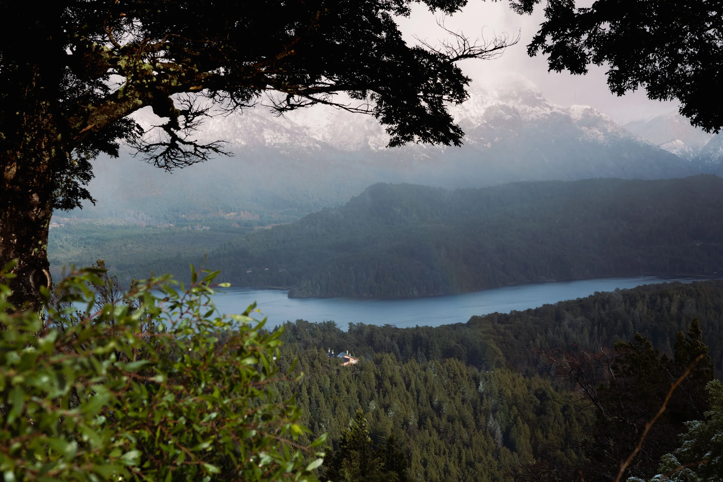 A mountain-framed lake and green foliage in Bariloche