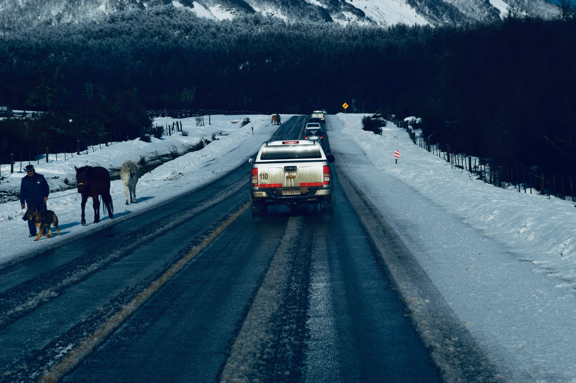 Horses and vehicles on a snowy road near San Martín de los Andes