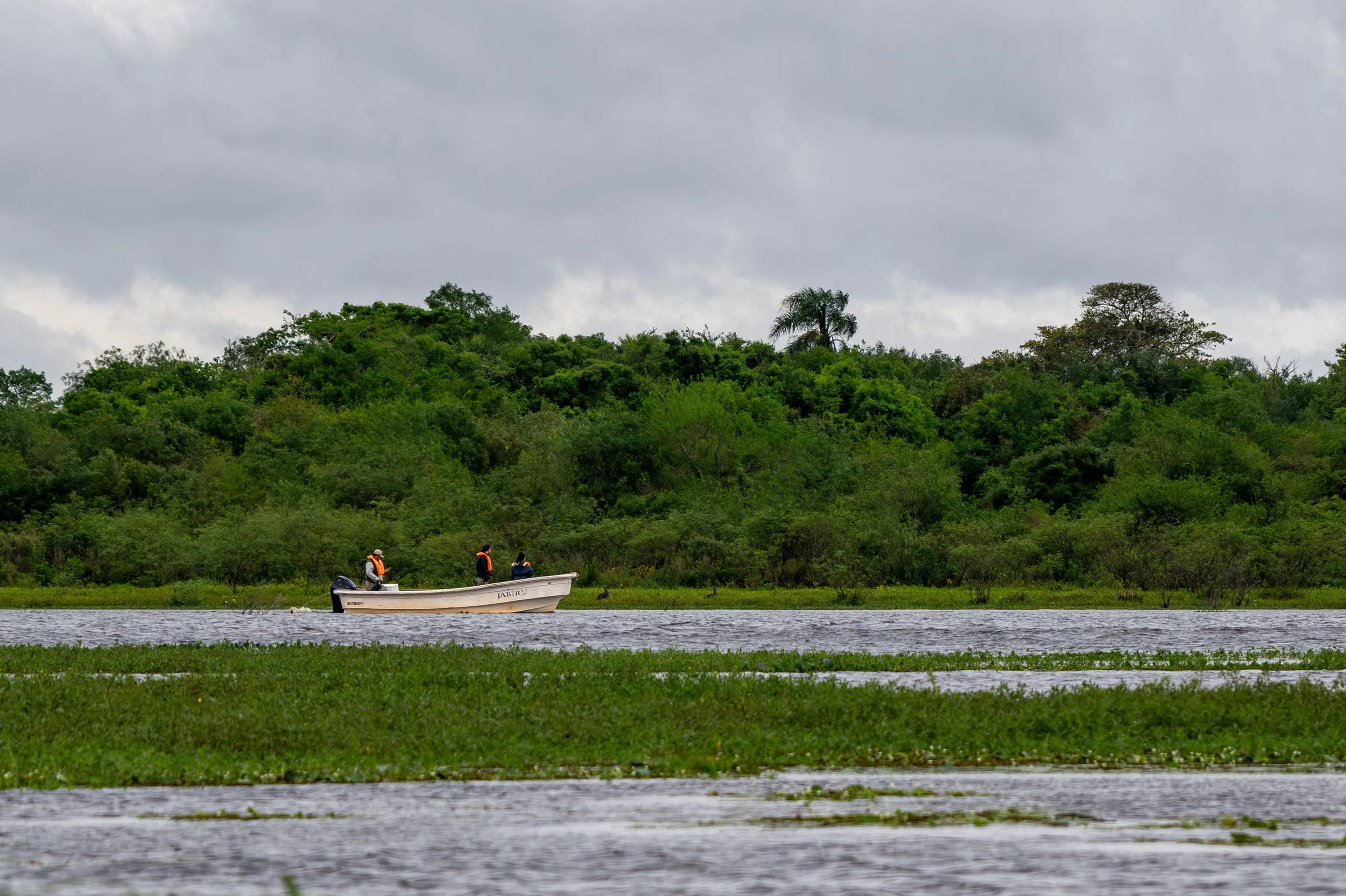 A small boat travelling between green banks in Corrientes