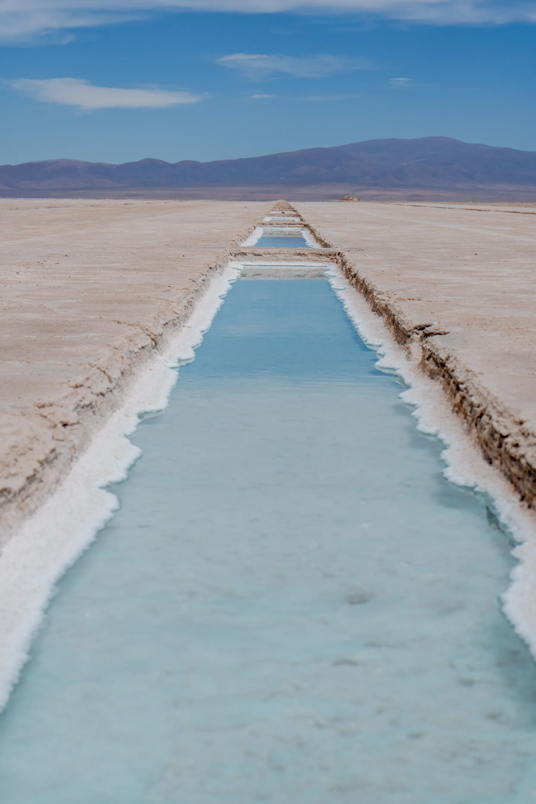 Geometric salt pools and white mineral edges at Salinas Grandes