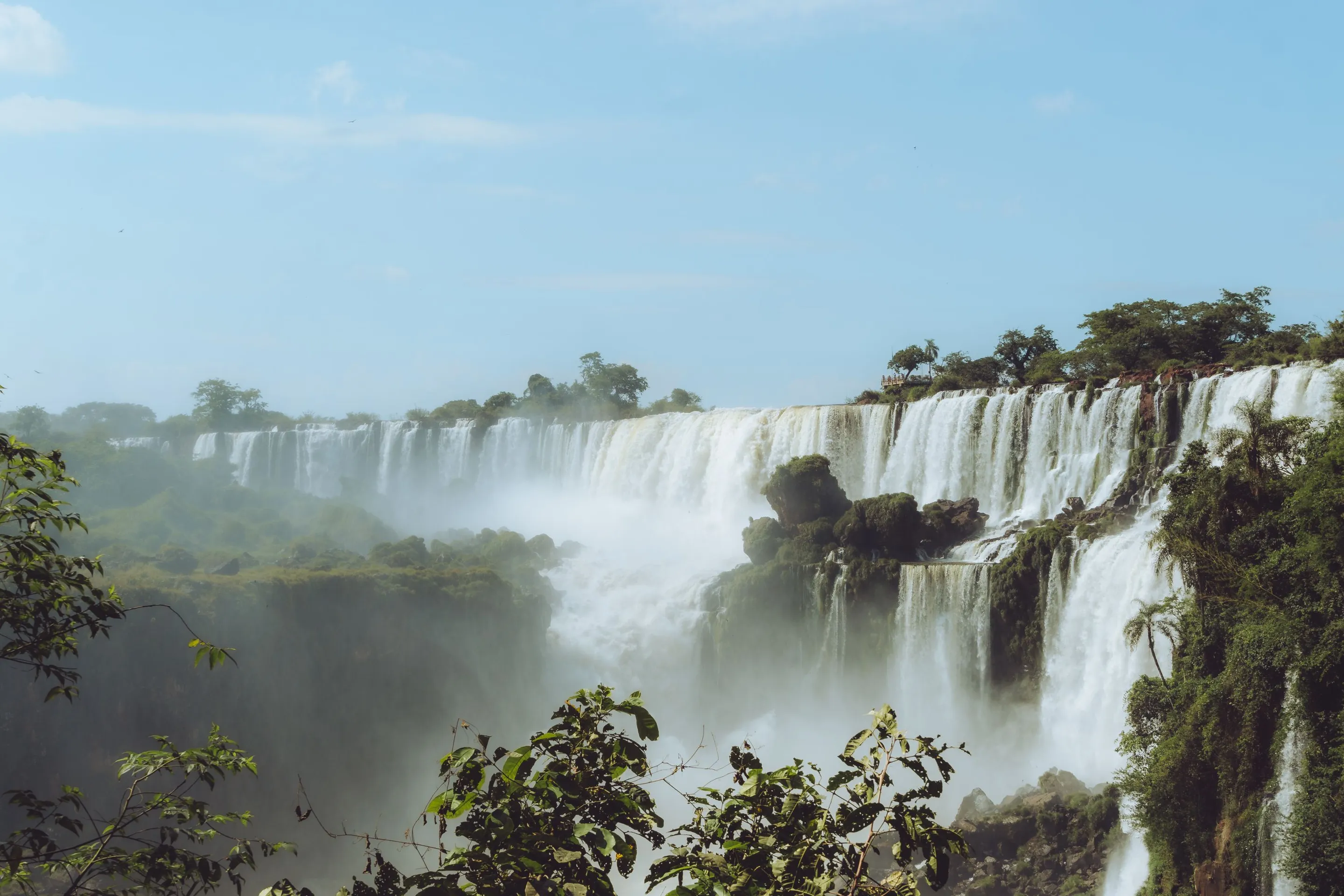 Iguazú Falls and the forest of Misiones.