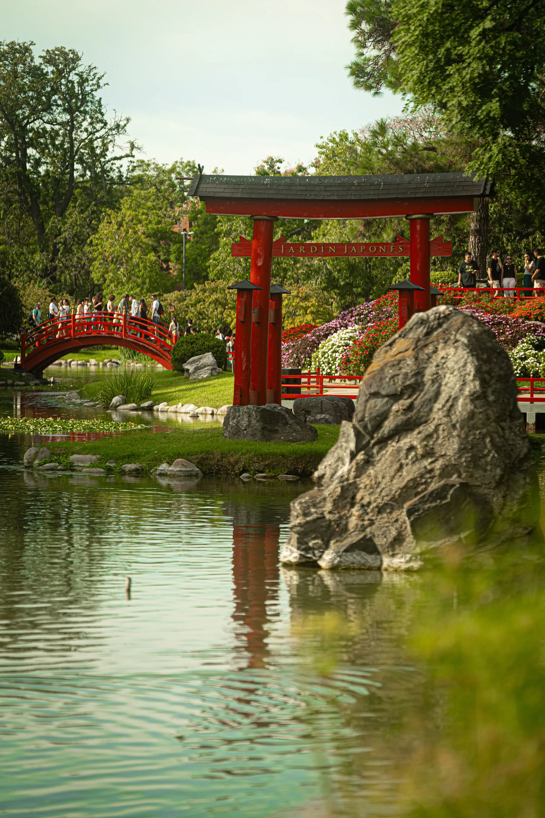 Flowers, water and a red bridge in Buenos Aires' Japanese Garden.