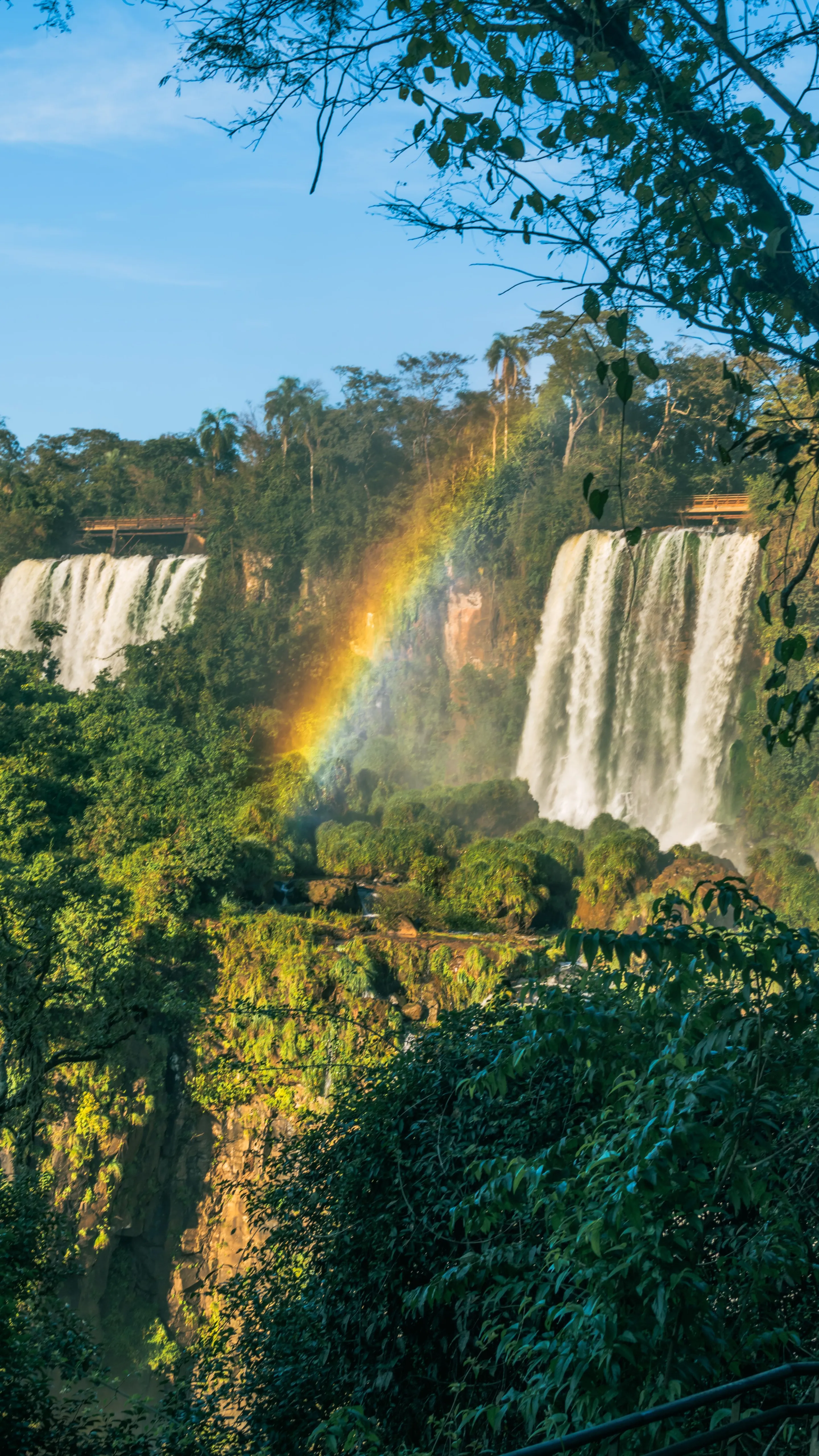 A rainbow emerging through the spray above Iguazú Falls