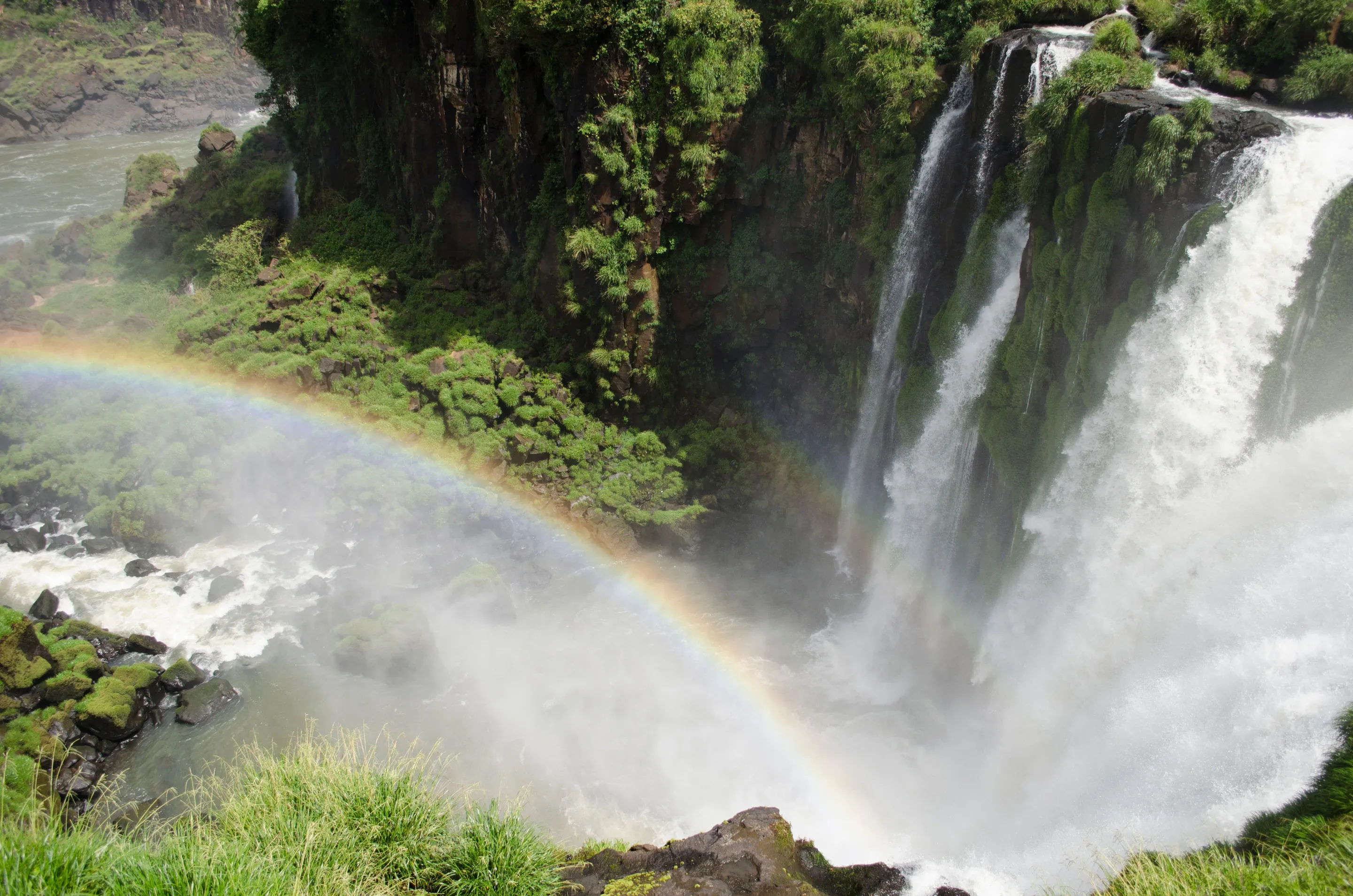 A rainbow above Iguazú Falls and the surrounding forest.