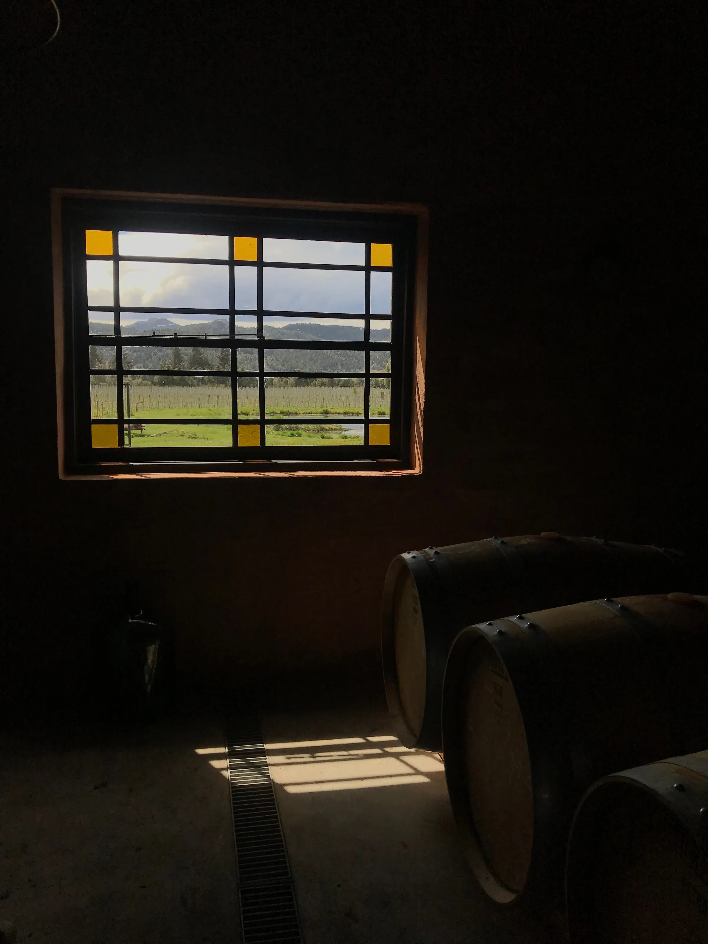 Sunlight through a winery window overlooking vines in Trevelin