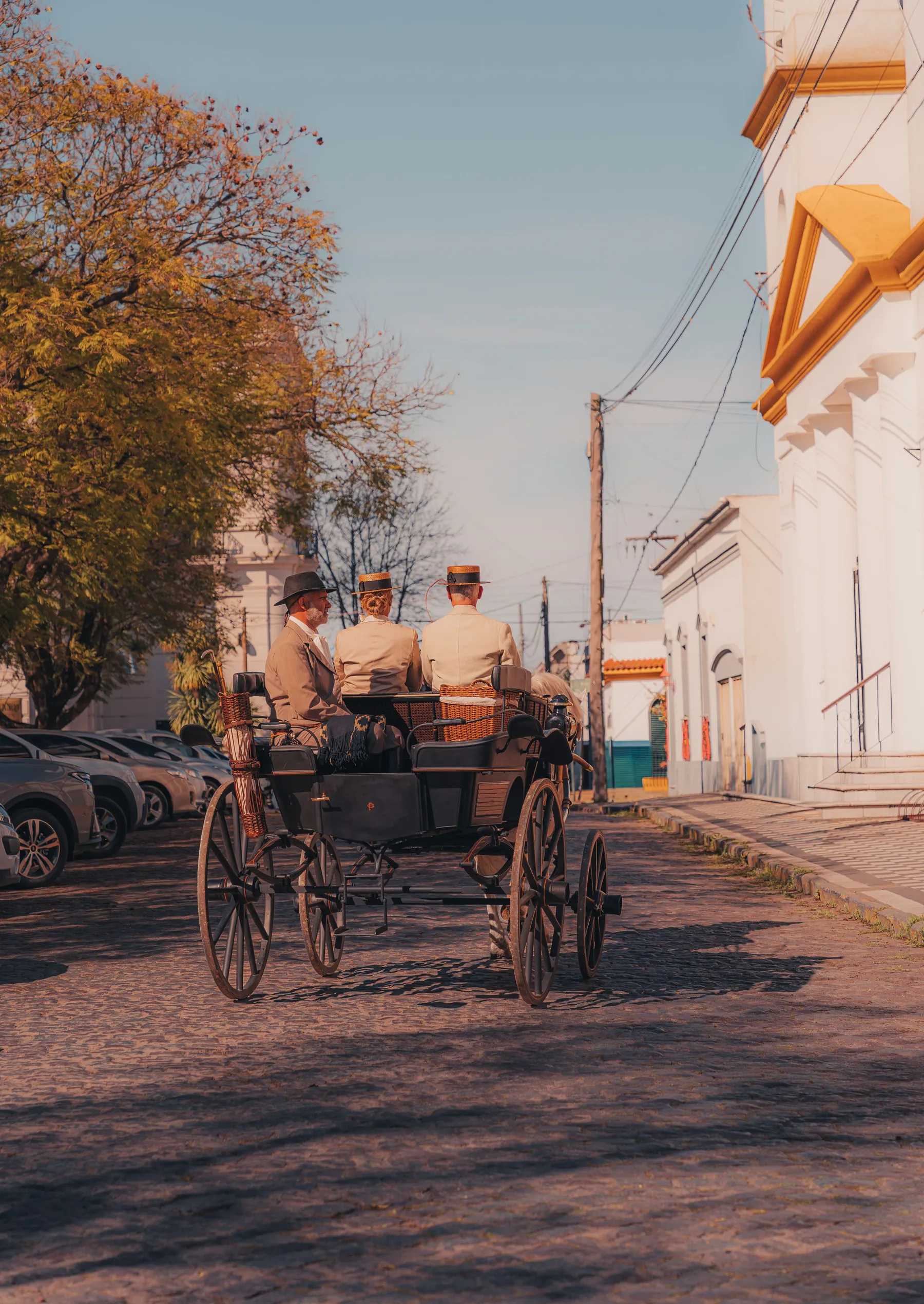 A horse-drawn carriage on a cobbled street in San Antonio de Areco