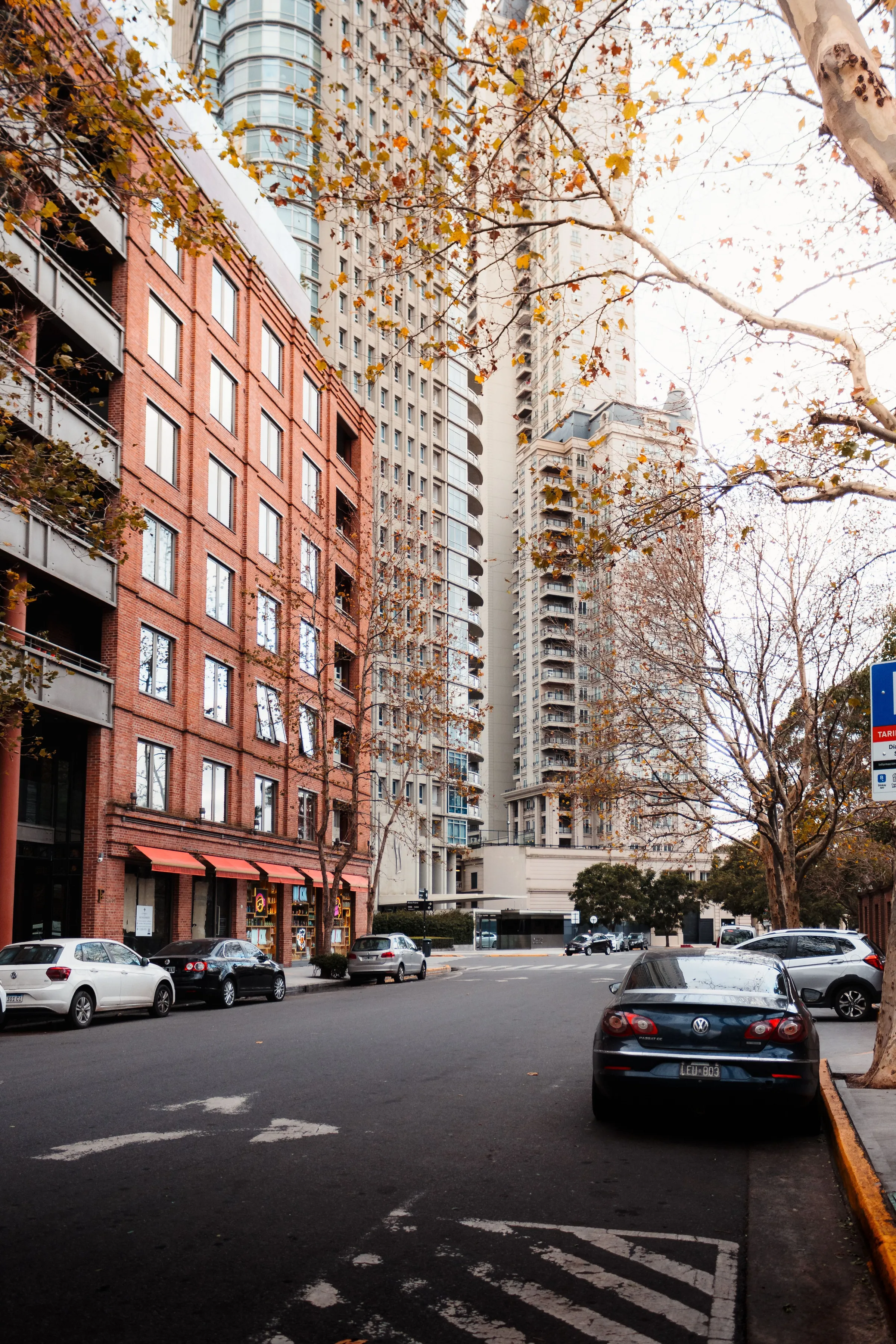 Autumn colour along a Buenos Aires street.