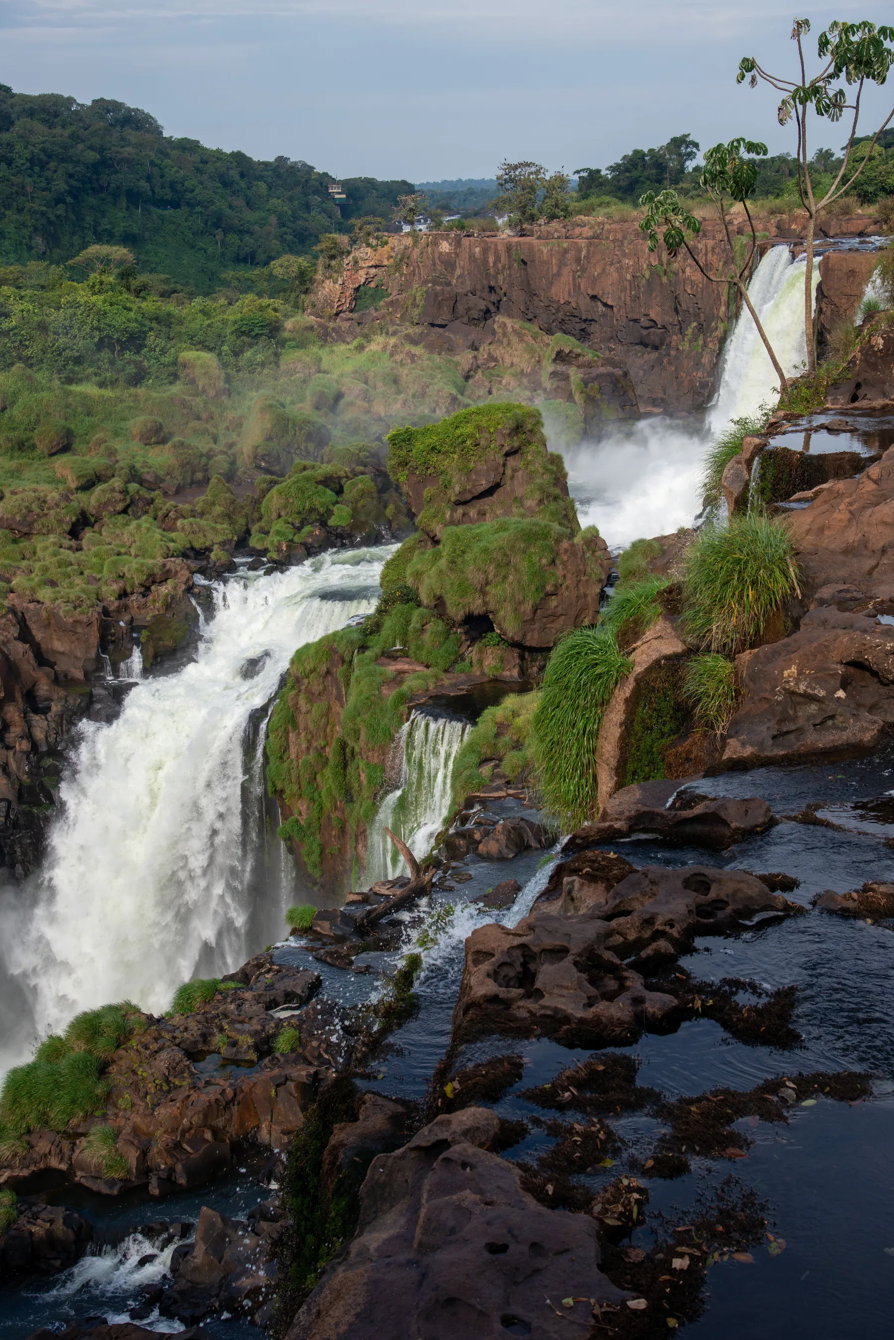 Cascading falls framed by the green canopy at Iguazú