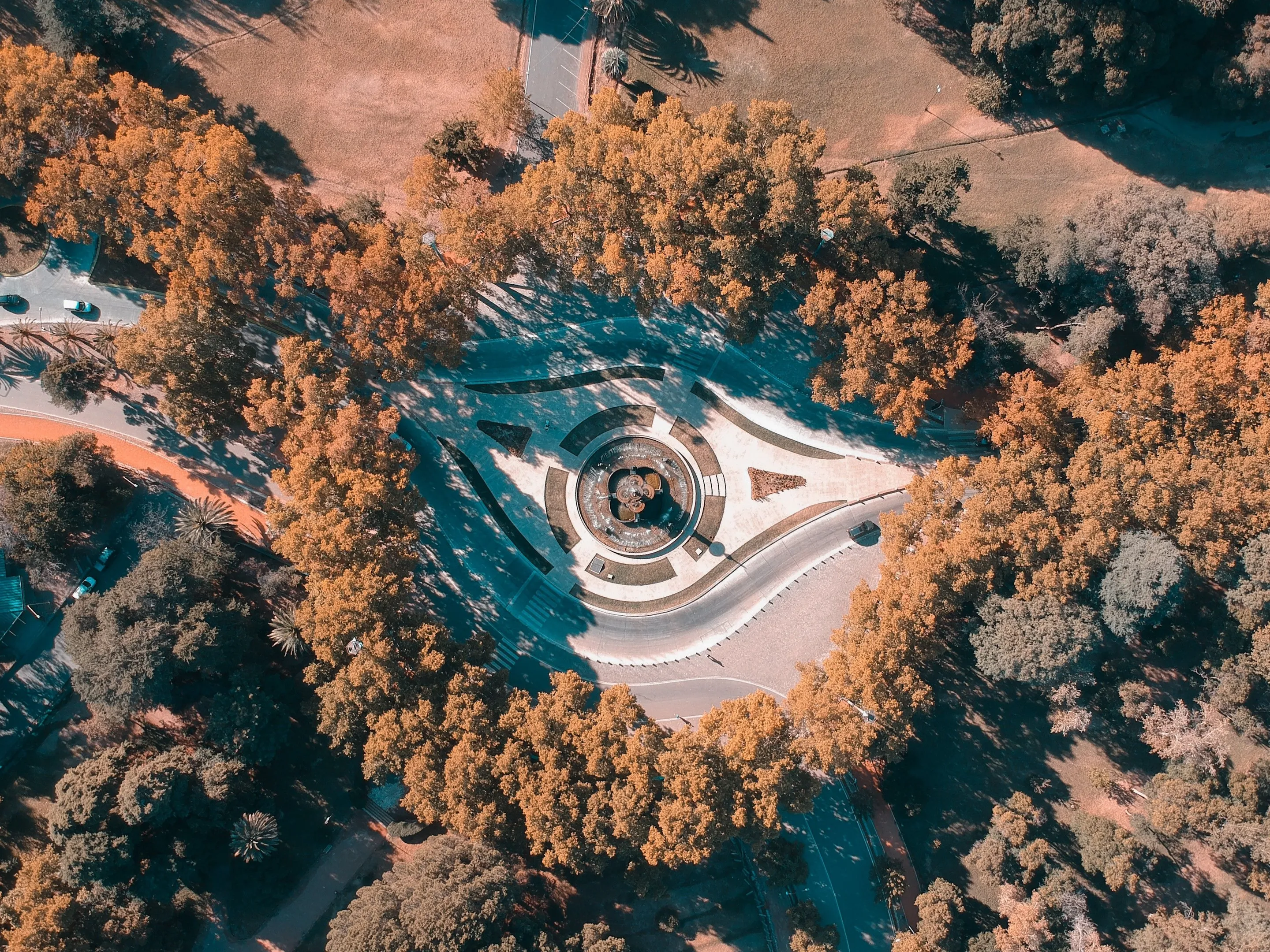 Autumn colour seen from above a park in Mendoza.