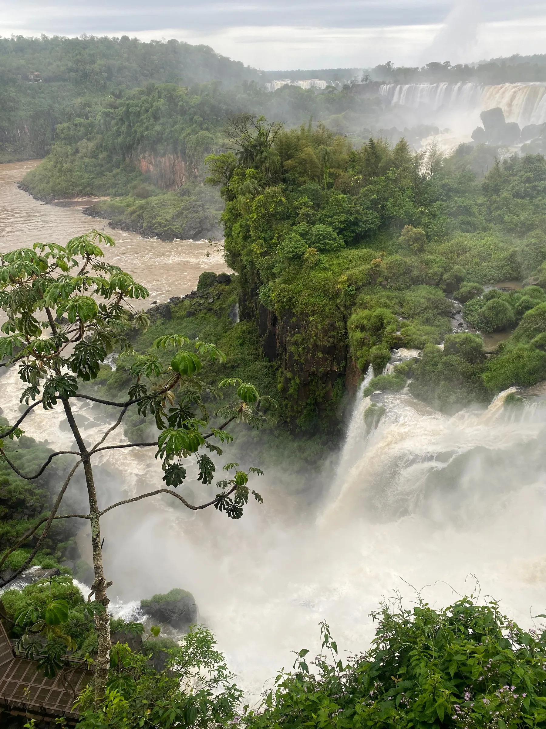 Water cascading through lush vegetation at Iguazú Falls.