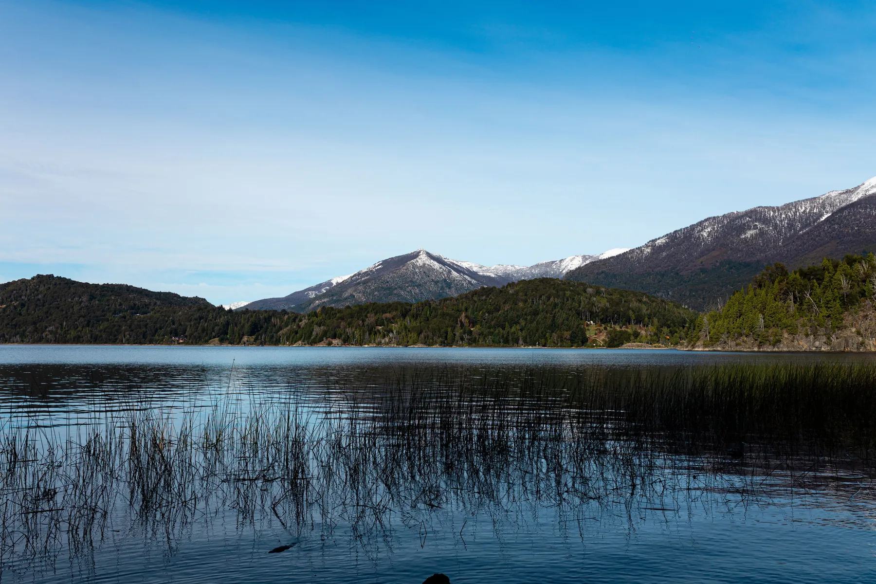 A mountain lake framed by Patagonian forest