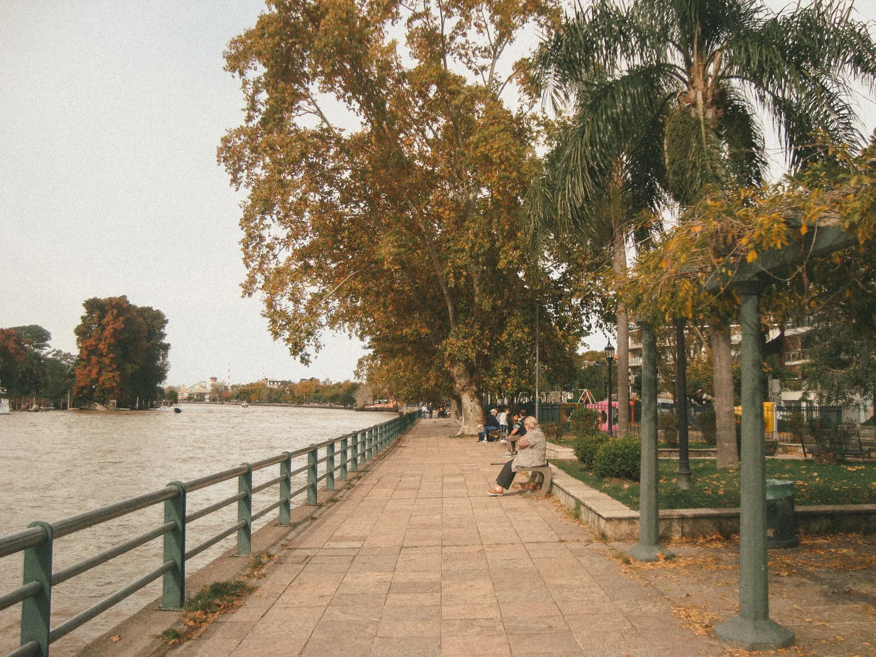 A leafy riverside path and passing boat in Tigre