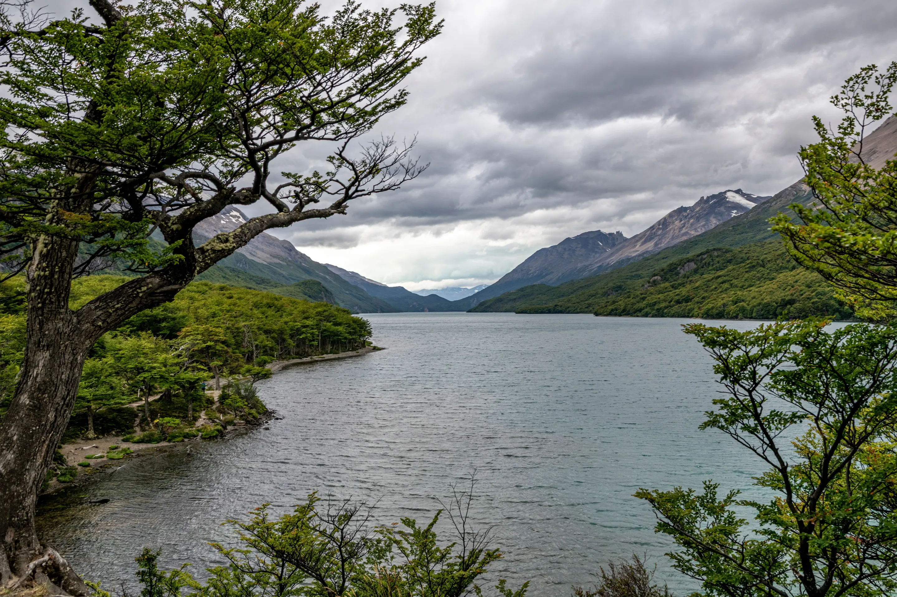 Mountains and forest around Lago del Desierto