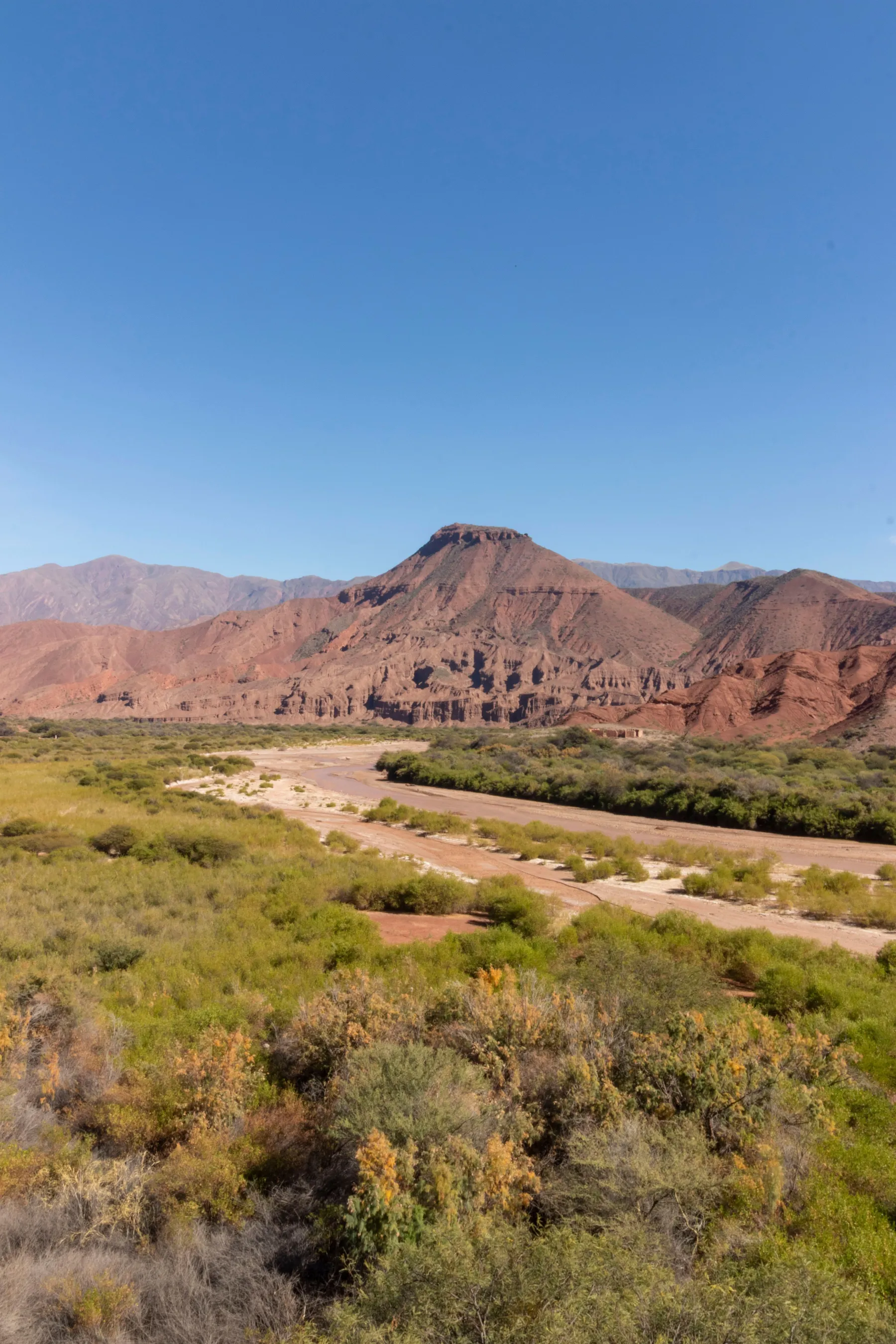 Green valley vegetation and rugged mountains around Cafayate