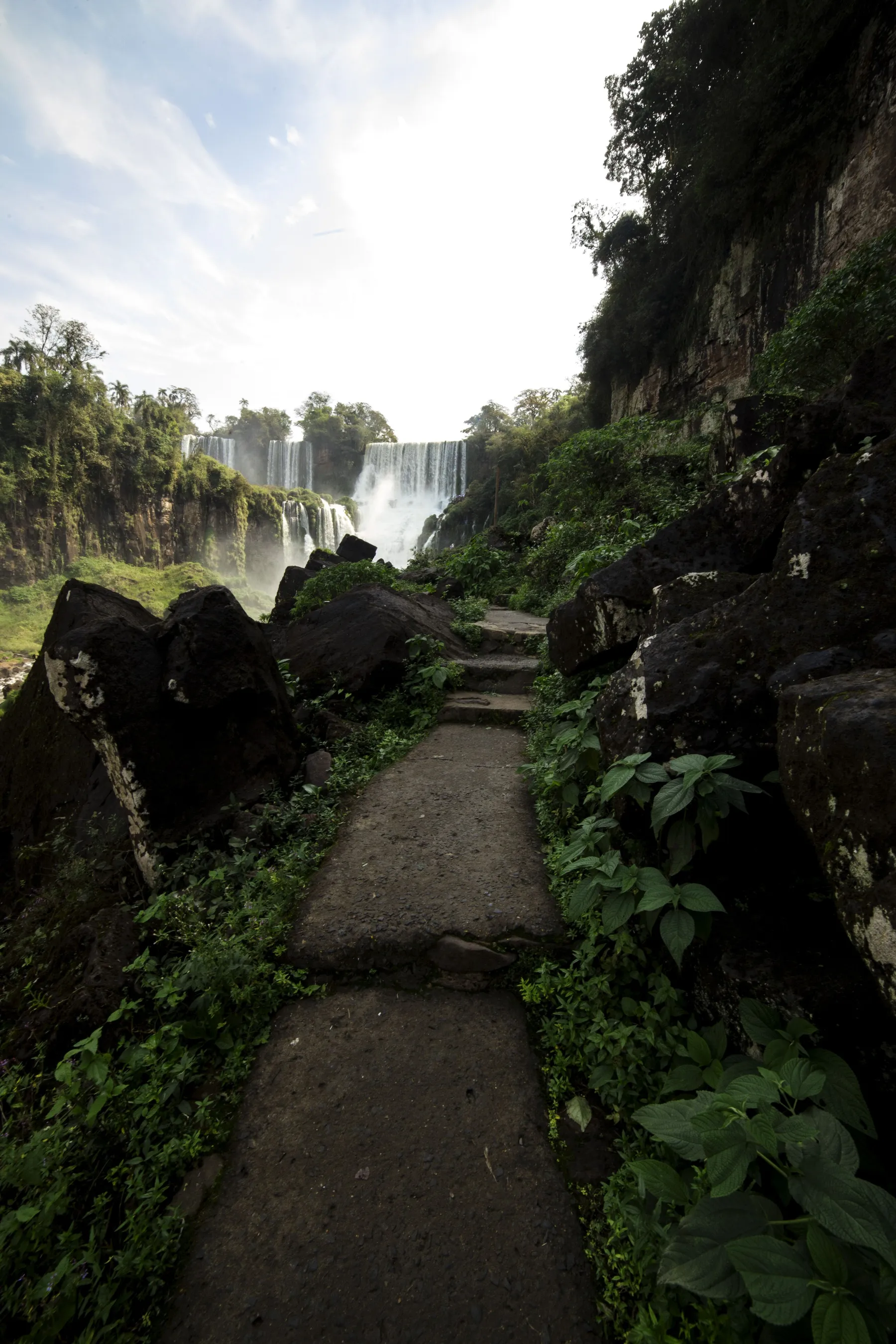 Stone steps descending through thick greenery towards a waterfall