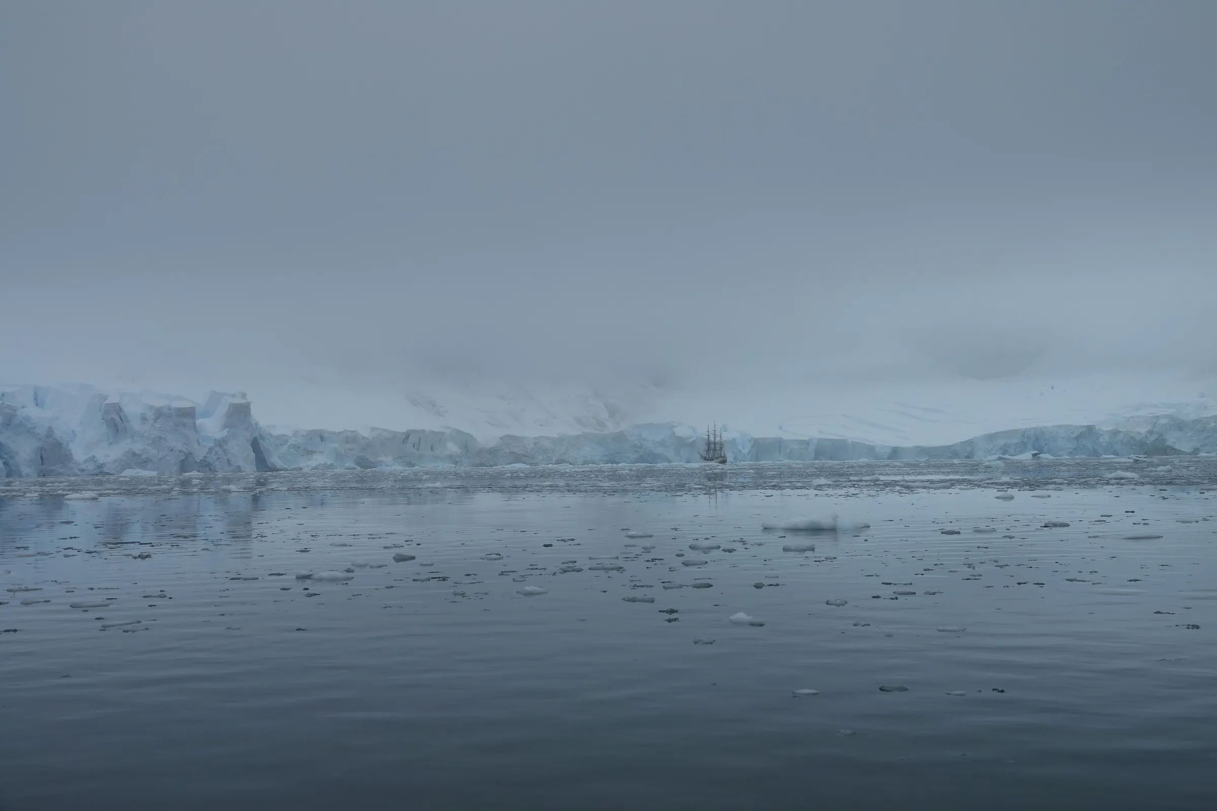 Icebergs and a glacier across calm Antarctic water