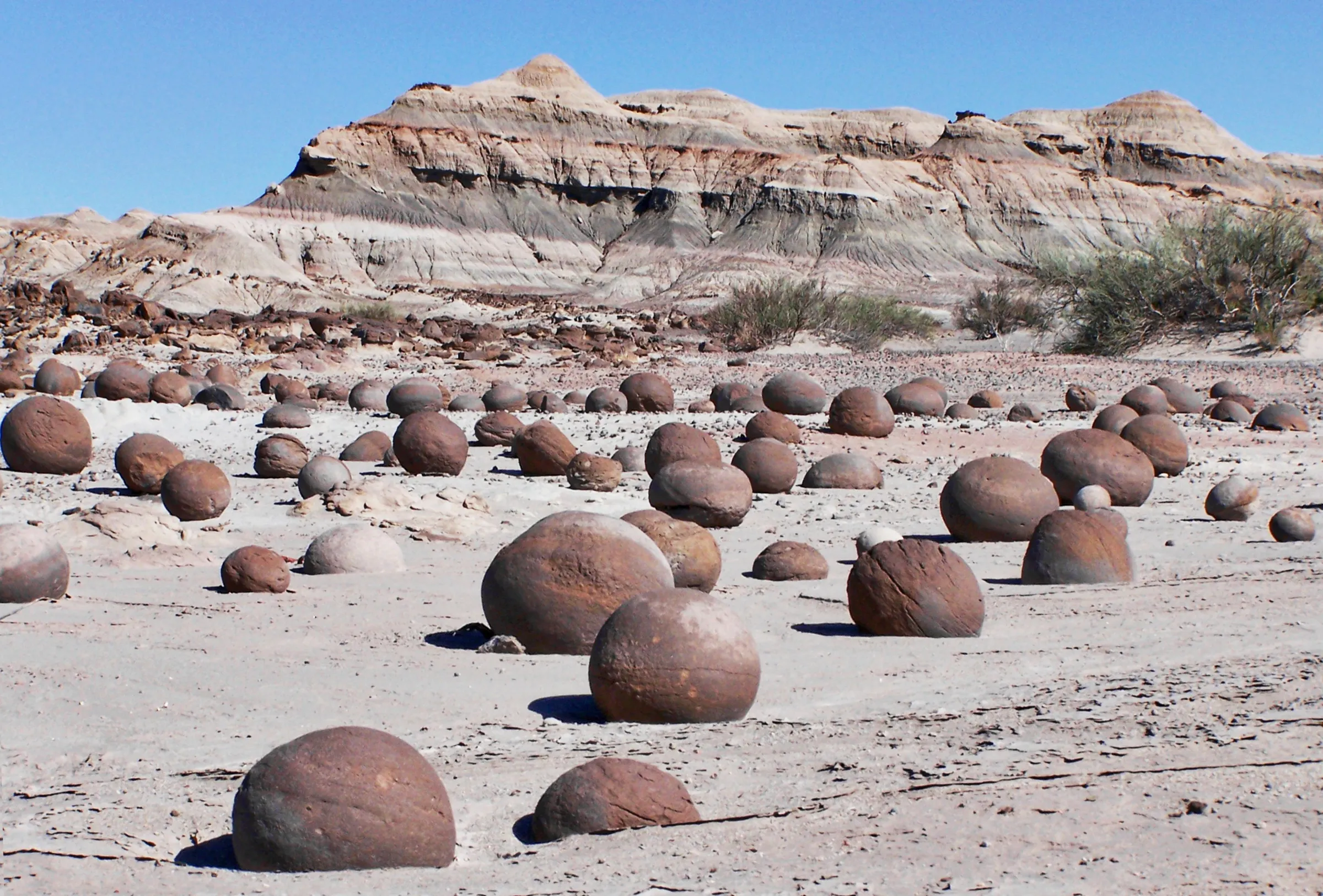 Rounded stone concretions across Ischigualasto's desert floor