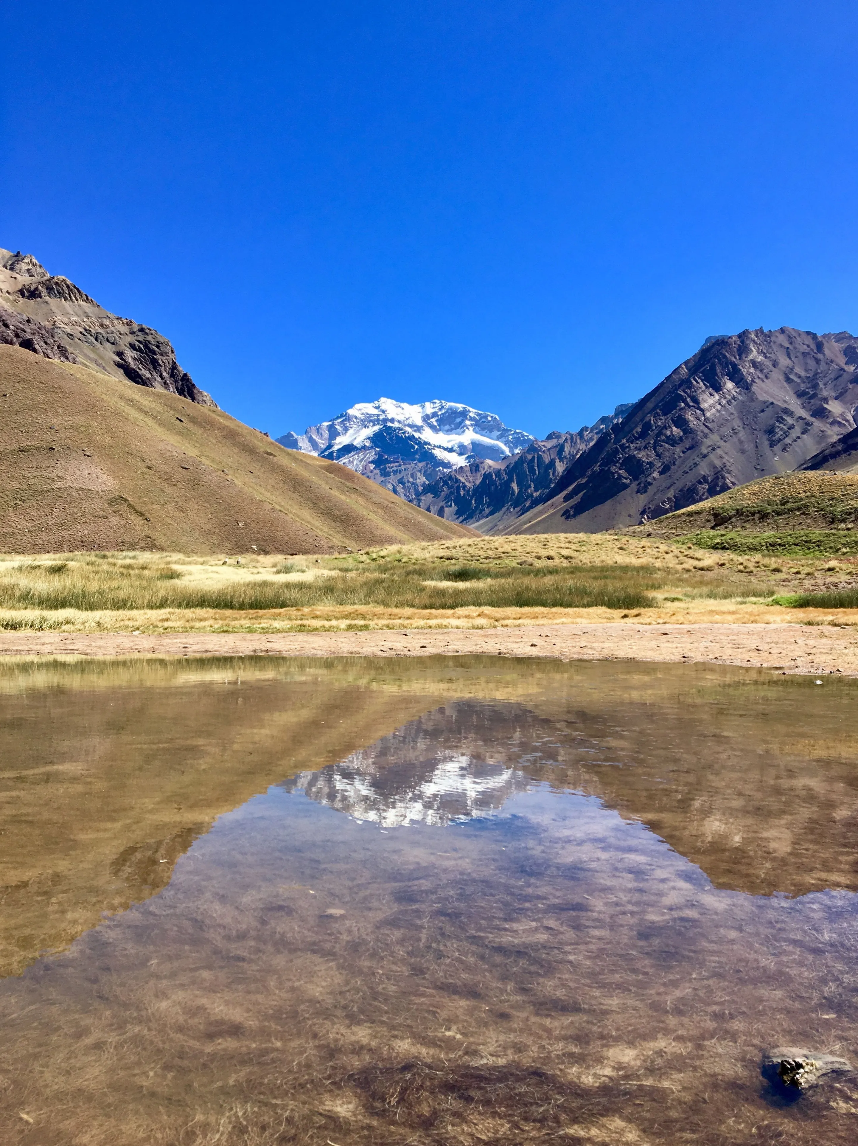 Andean peaks reflected in still water in Aconcagua country