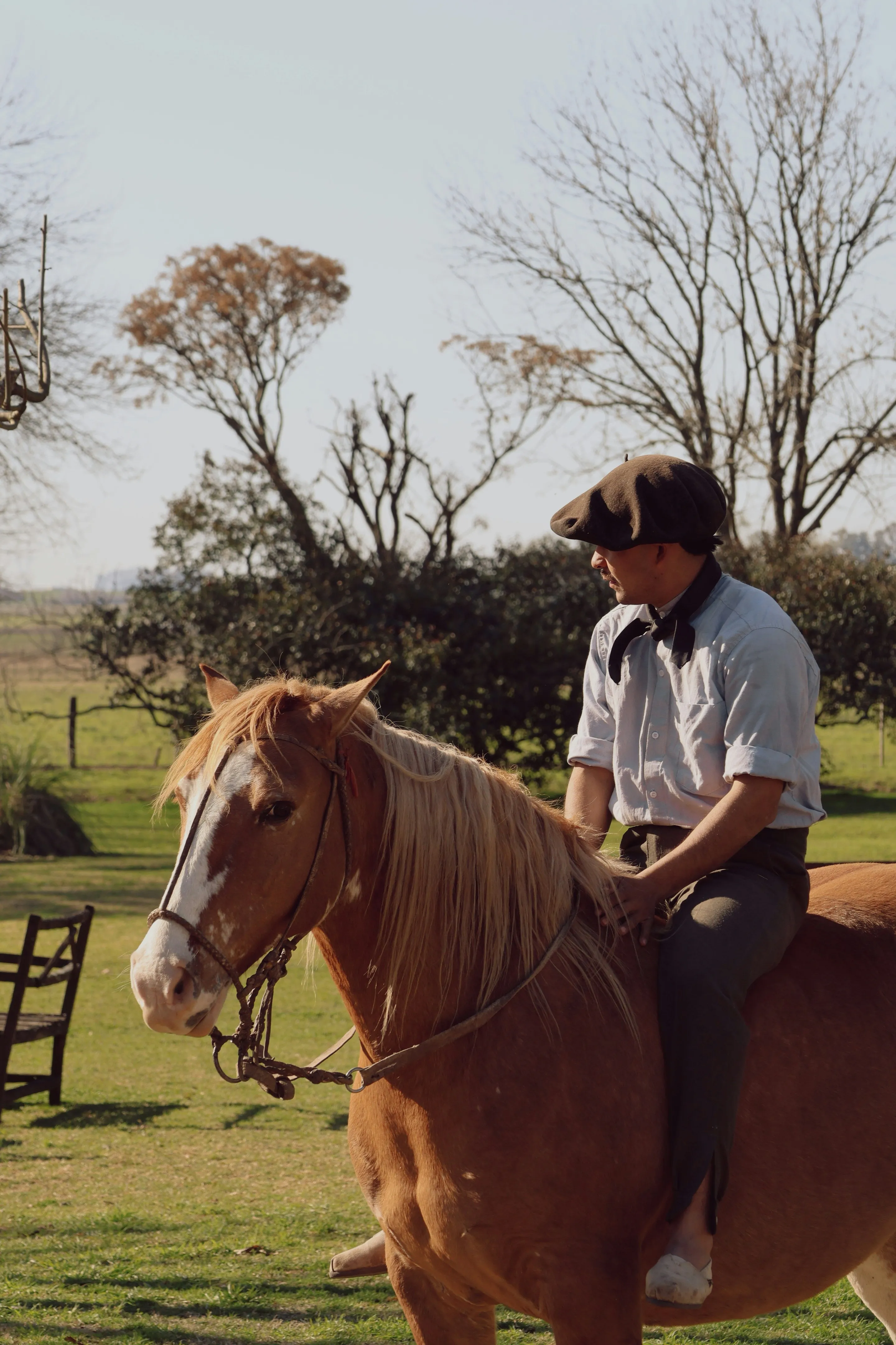 A rider in a flat cap on a brown horse in San Antonio de Areco