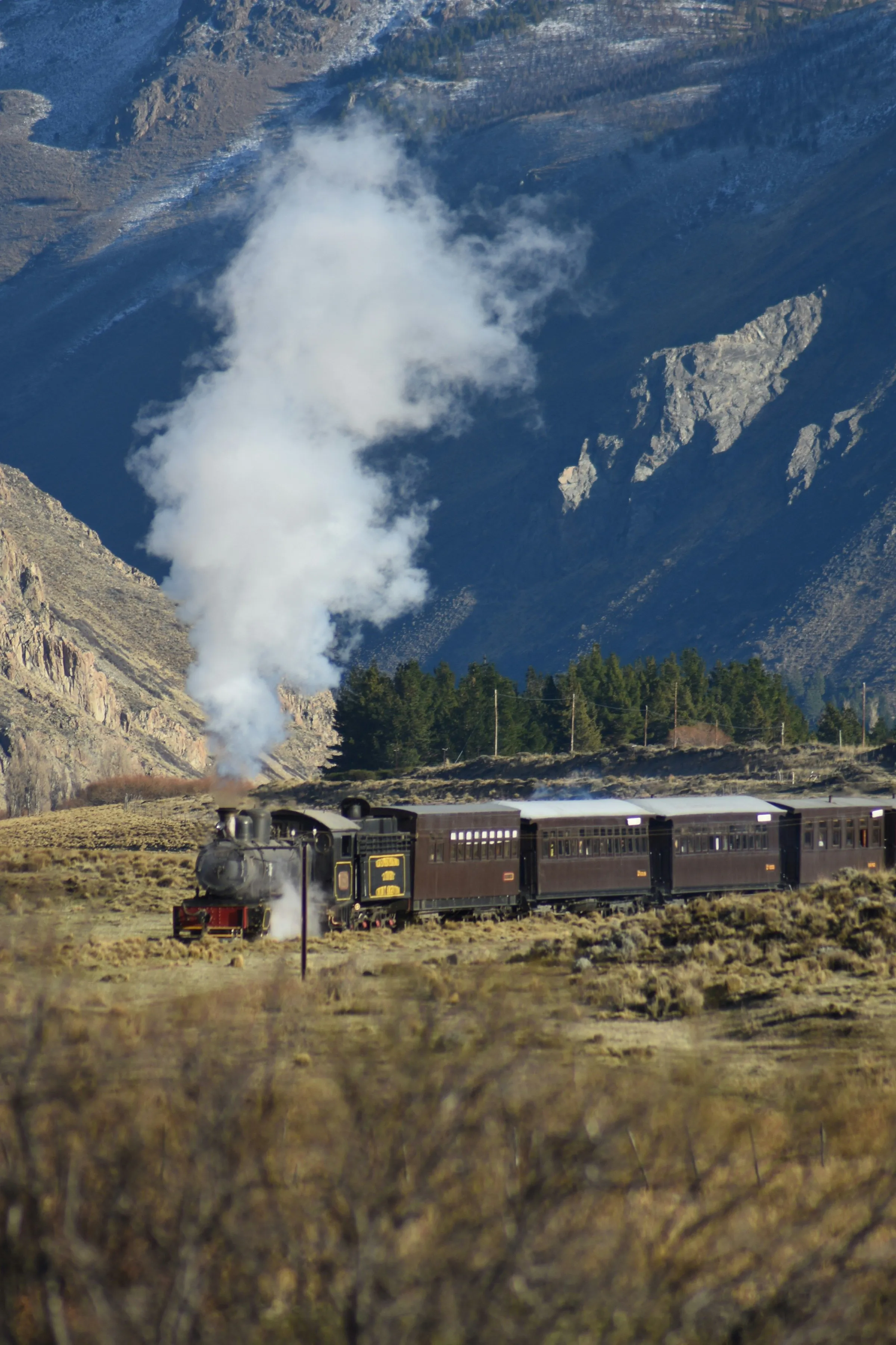 La Trochita travelling through the Esquel countryside under steam