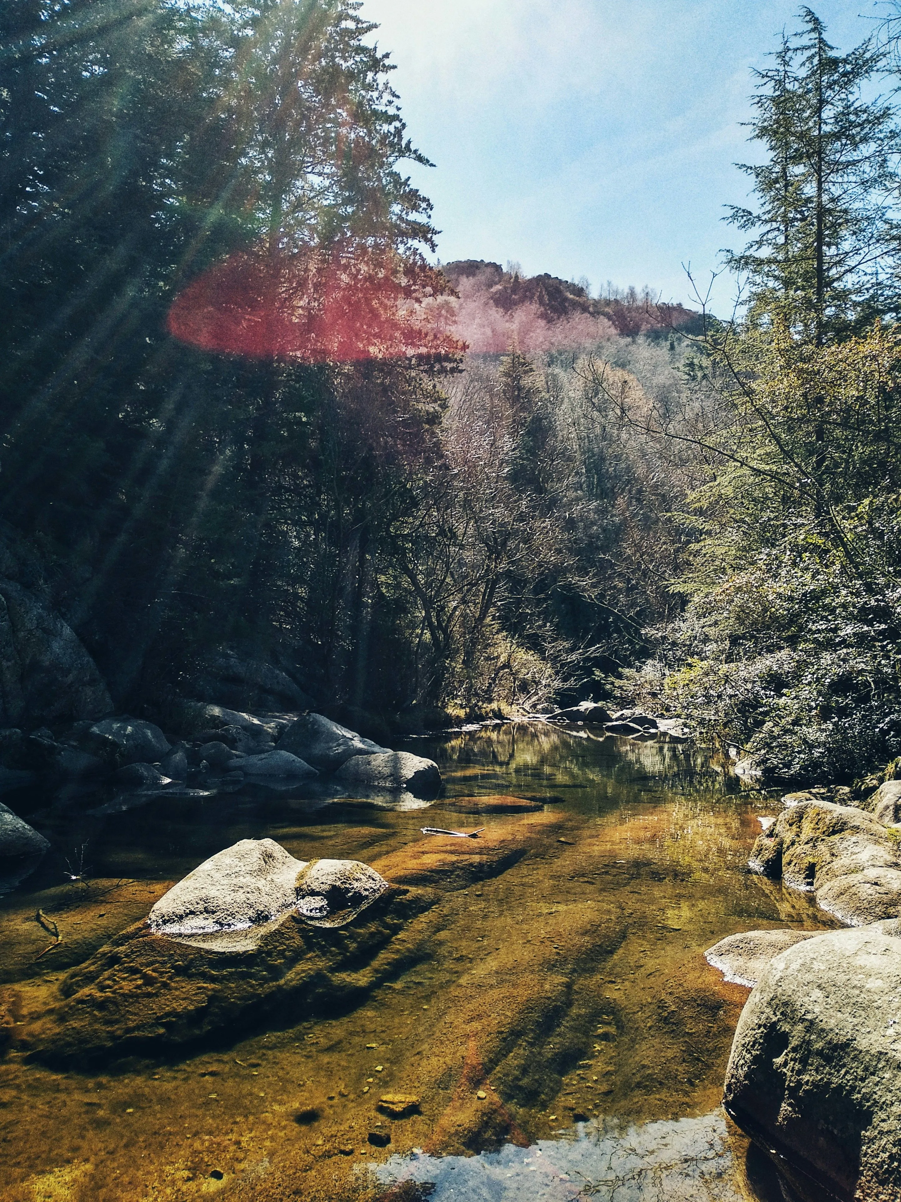 Sunbeams over a forest stream and rocks in La Cumbrecita