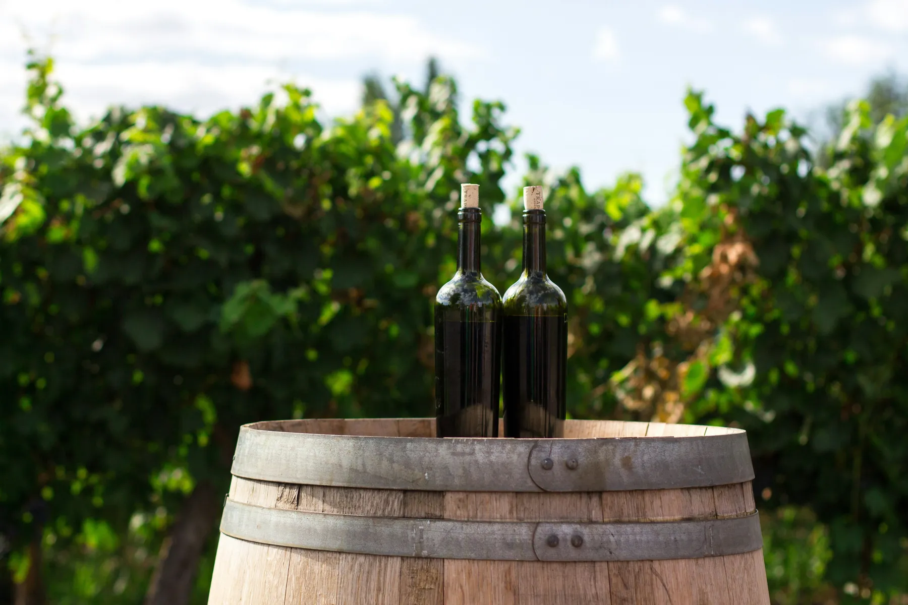 Two wine bottles on a wooden barrel in sunlight at Bodega Trapiche