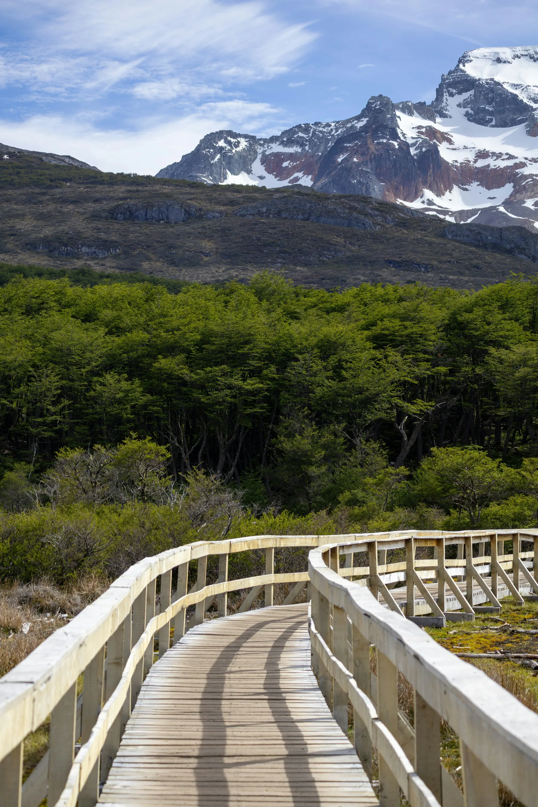A boardwalk through forest on the Laguna Esmeralda route.