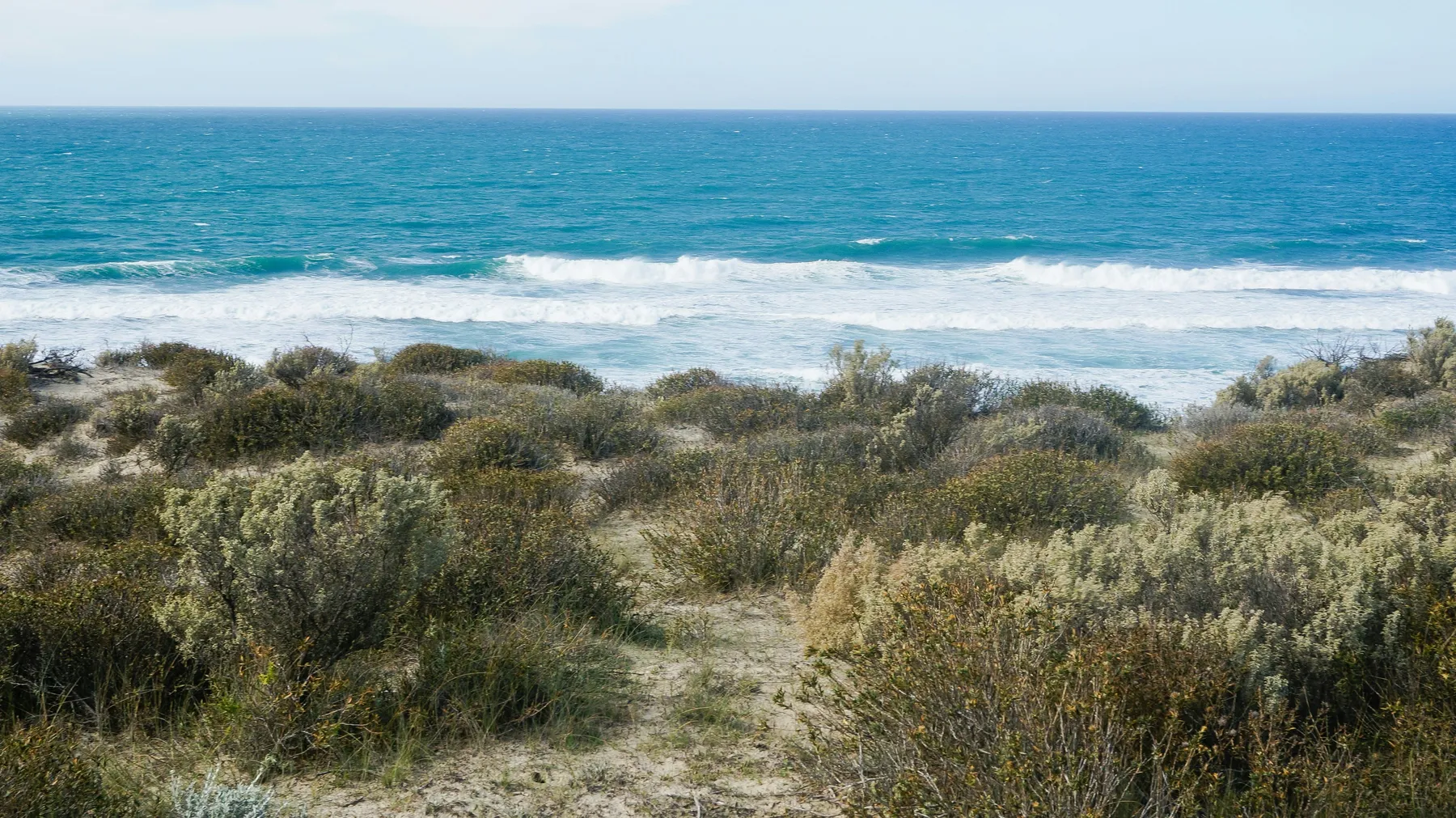The open coast and gulf near Puerto Madryn